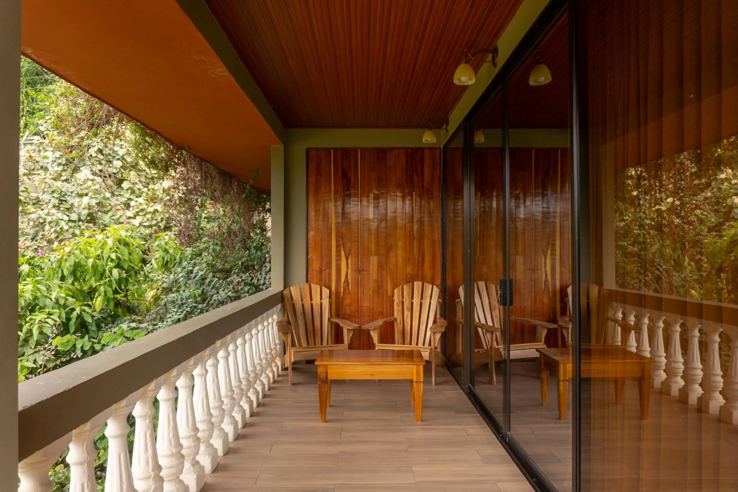 Jacamar Corcovado Drake Bay