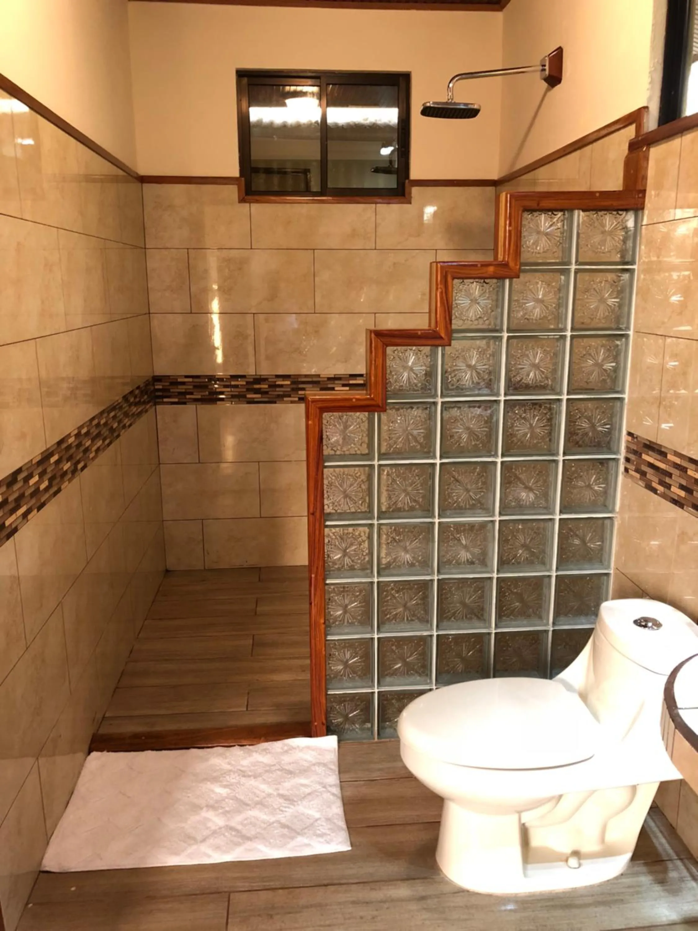 Jacamar Corcovado Drake Bay