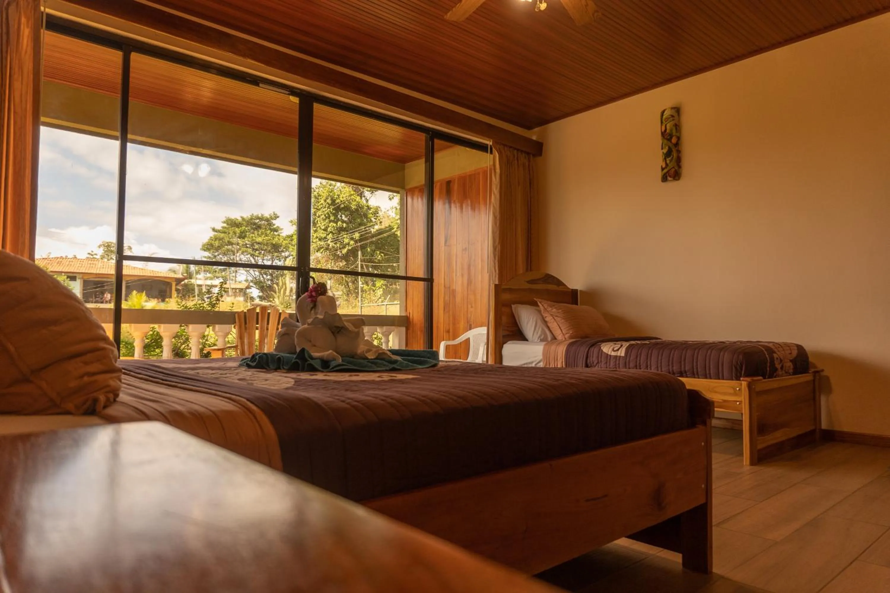 Jacamar Corcovado Drake Bay