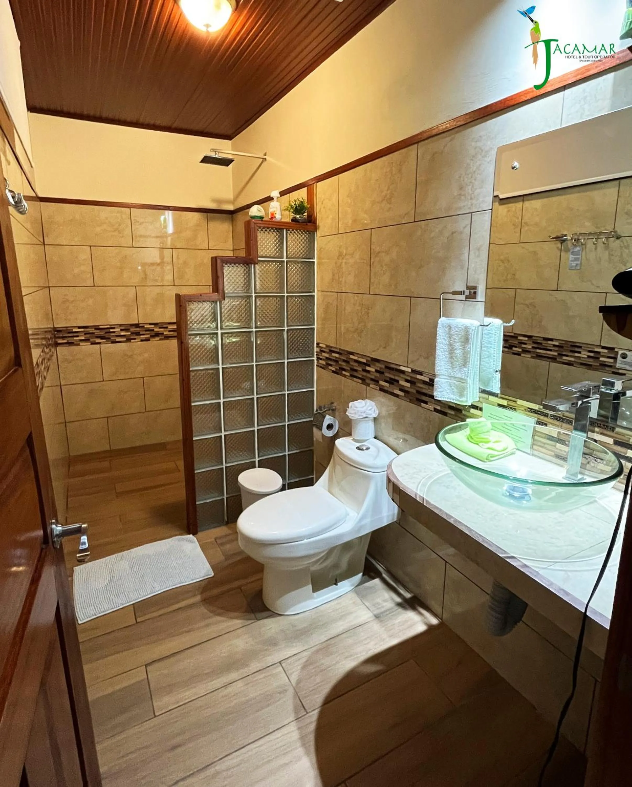 Jacamar Corcovado Drake Bay