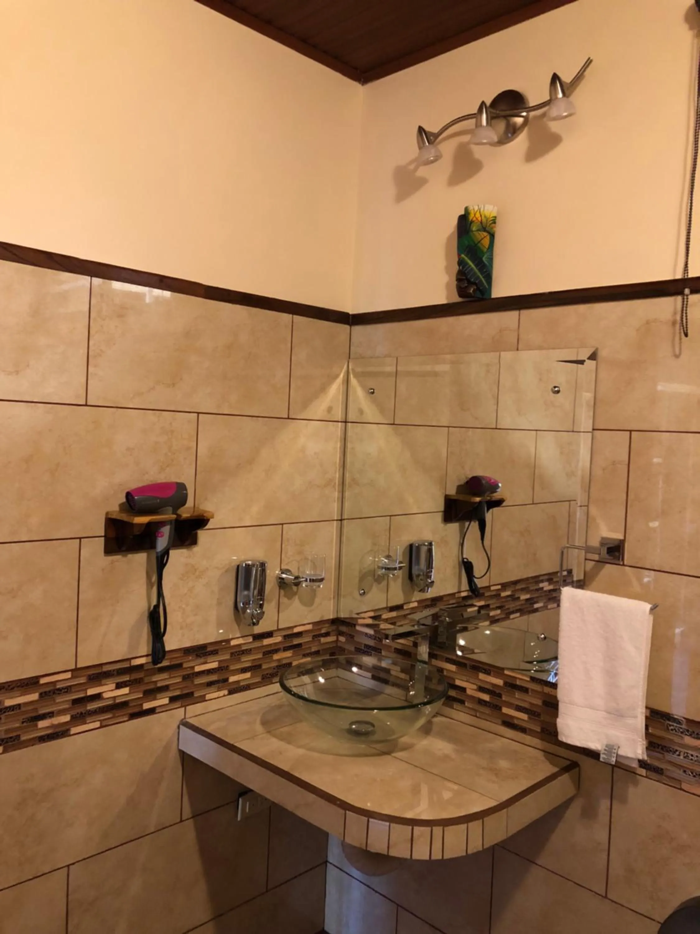 Jacamar Corcovado Drake Bay