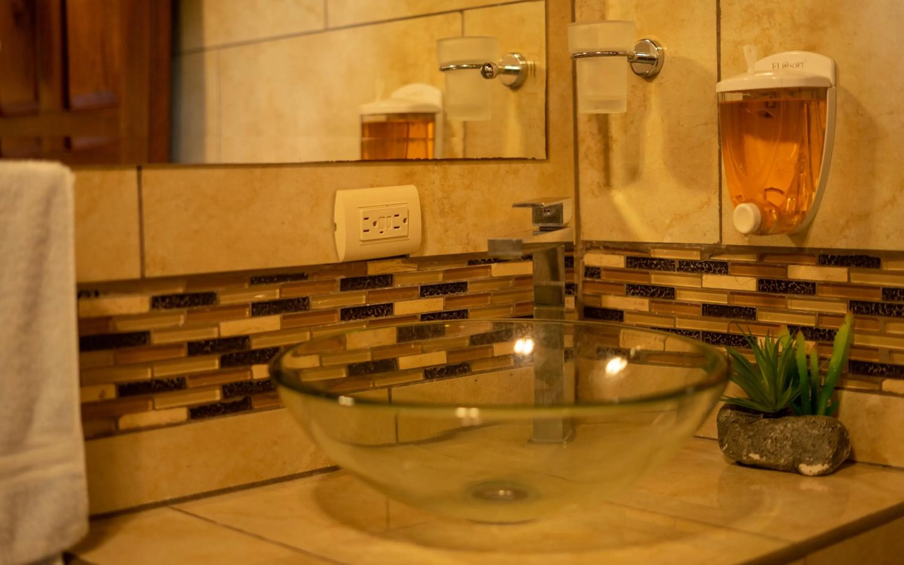 Jacamar Corcovado Drake Bay