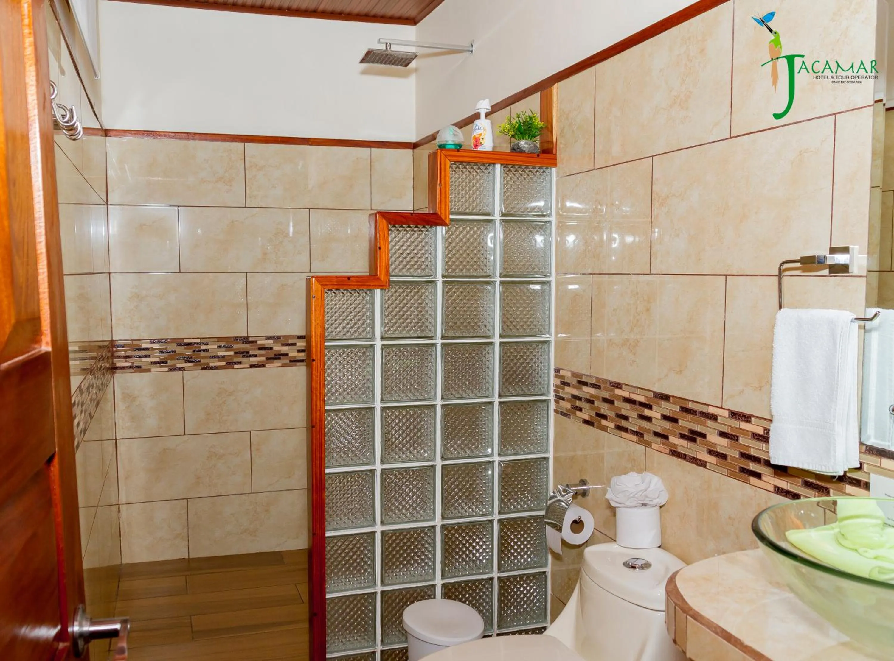 Jacamar Corcovado Drake Bay