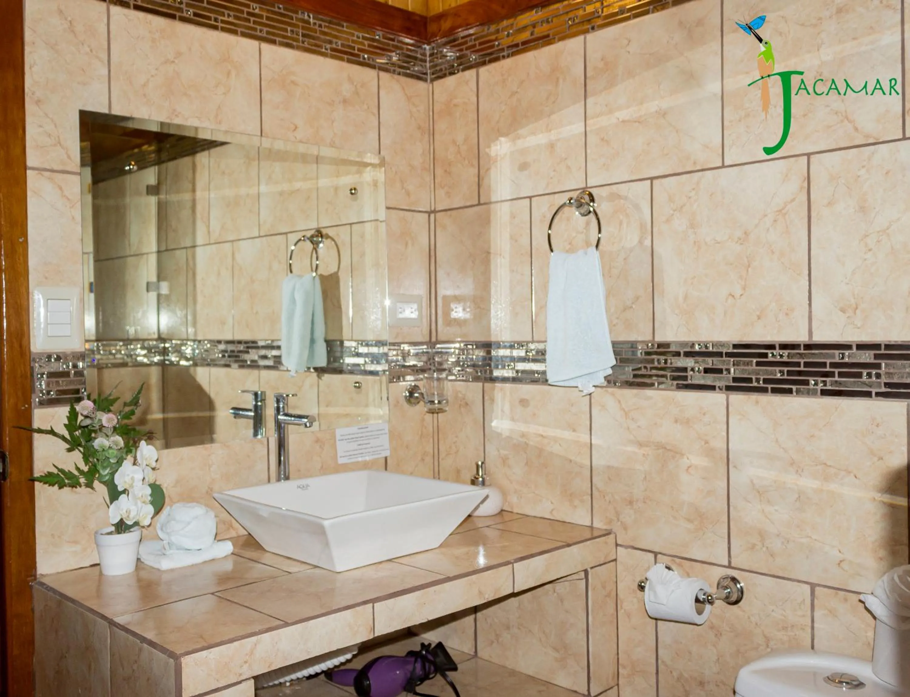 Jacamar Corcovado Drake Bay