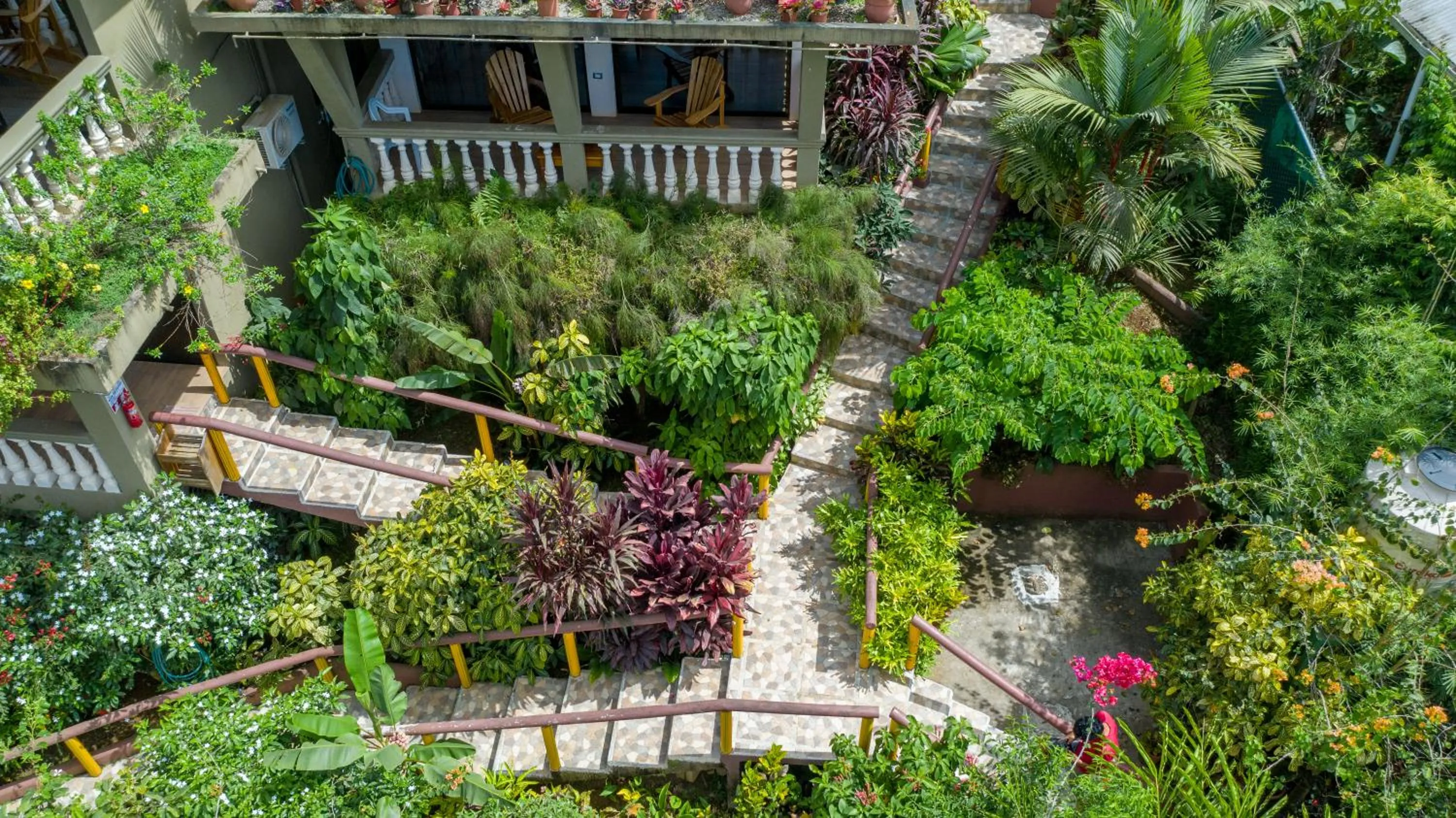 Property building in Jacamar Corcovado Drake Bay