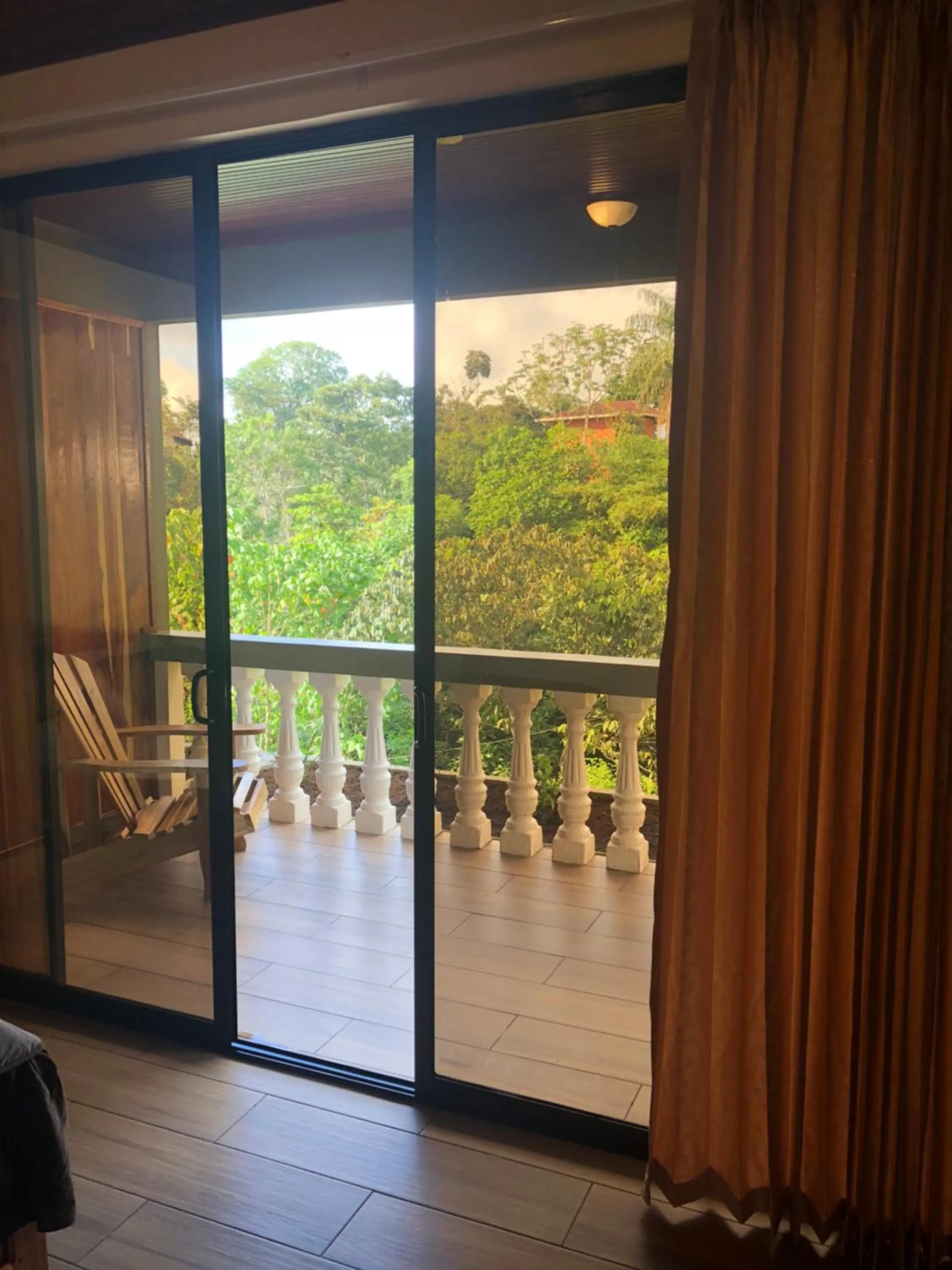 Jacamar Corcovado Drake Bay