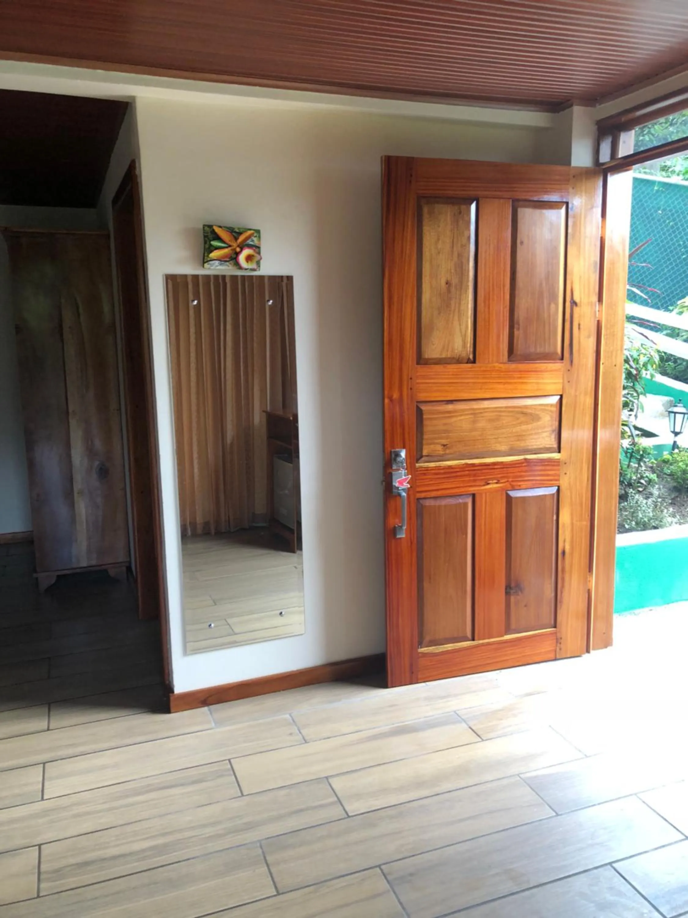 Jacamar Corcovado Drake Bay