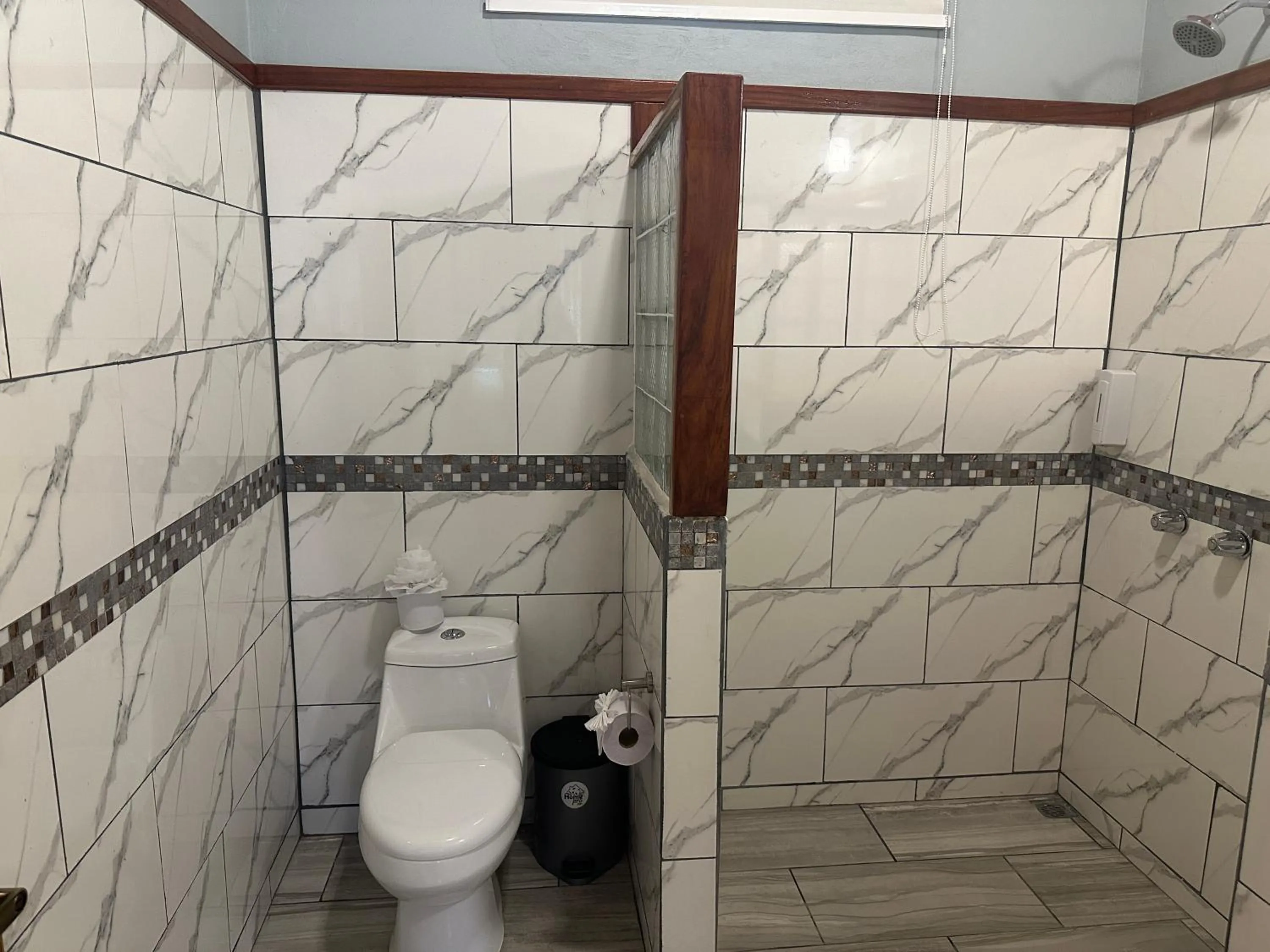 Jacamar Corcovado Drake Bay