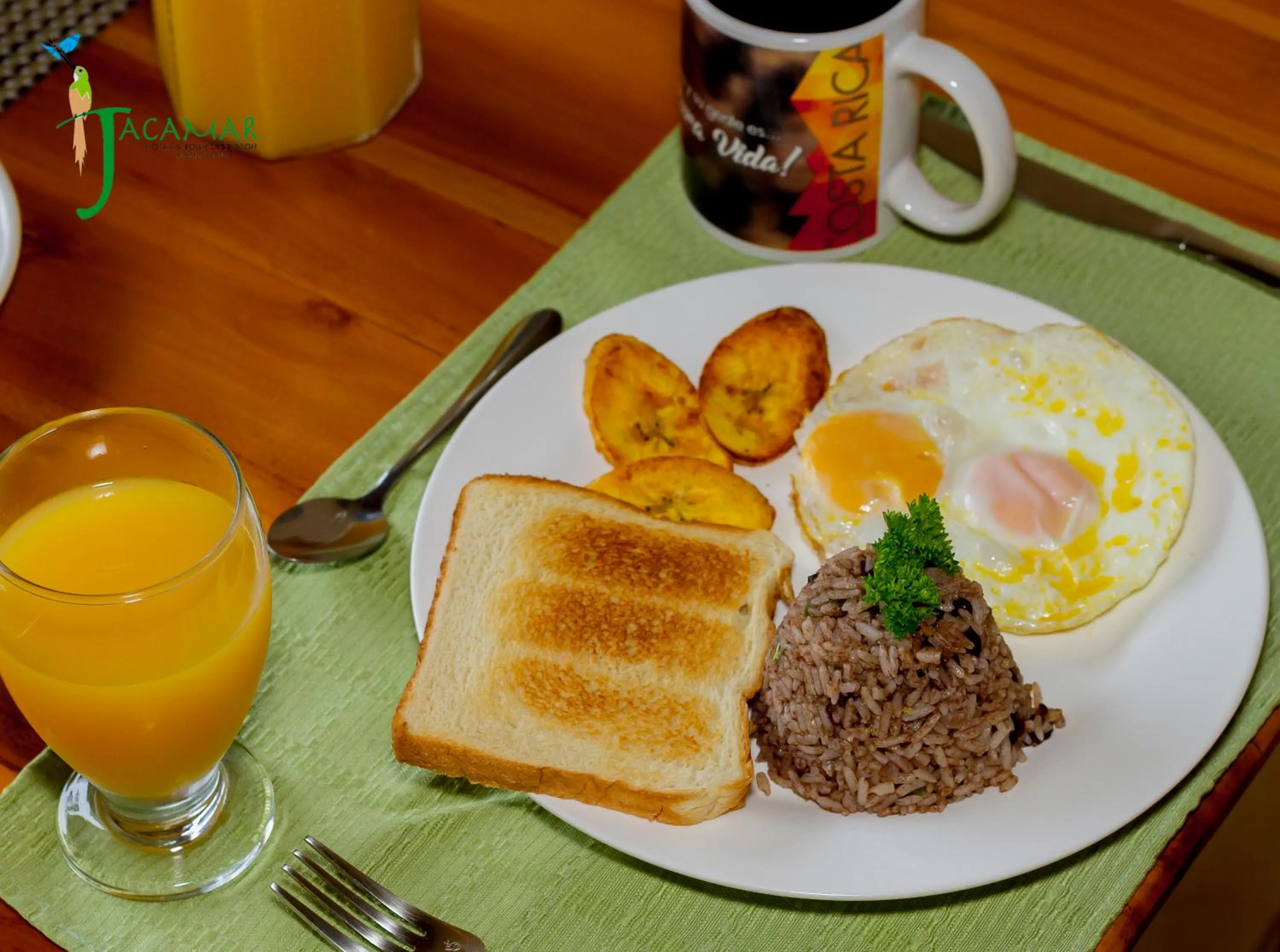 Jacamar Corcovado Drake Bay