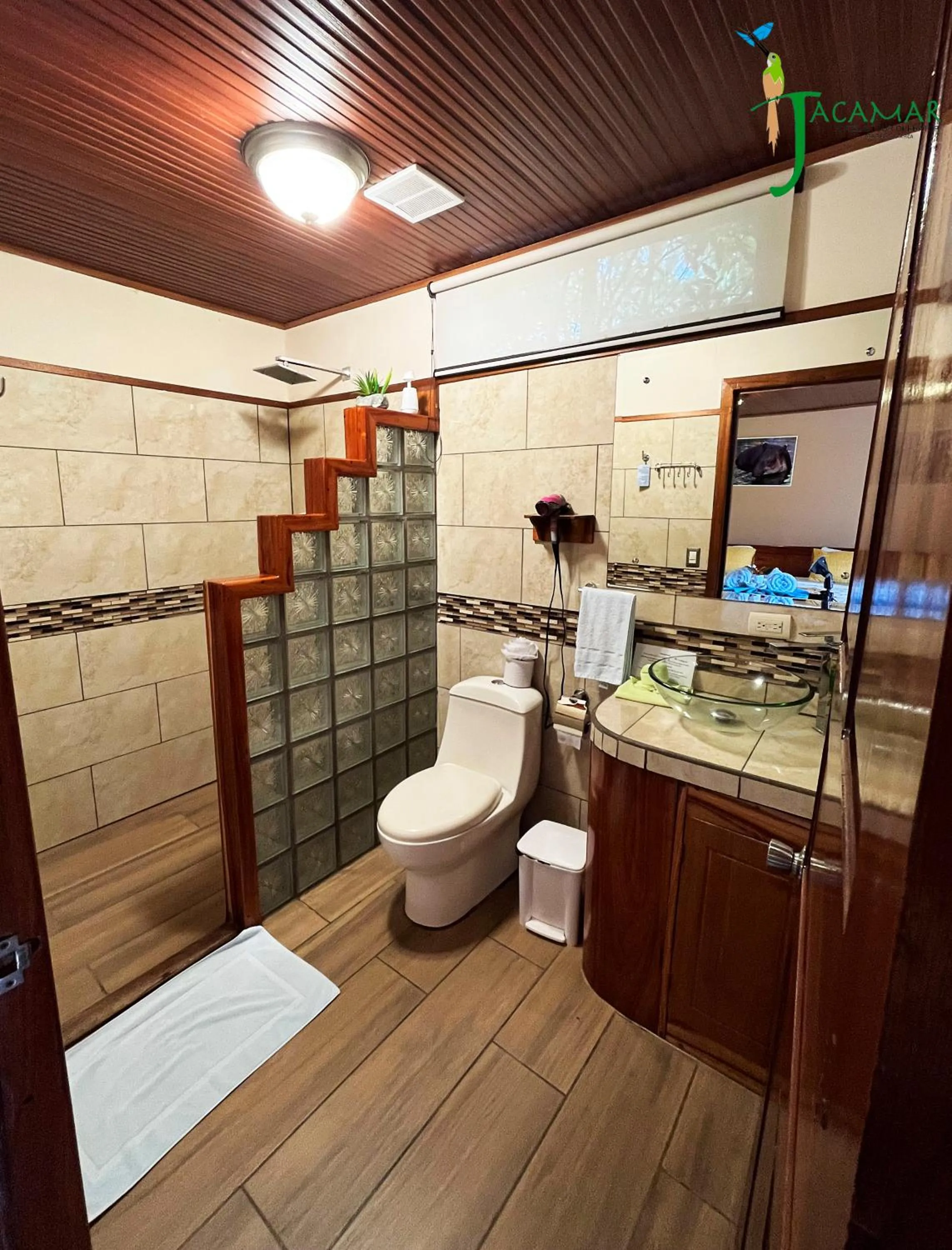 Jacamar Corcovado Drake Bay