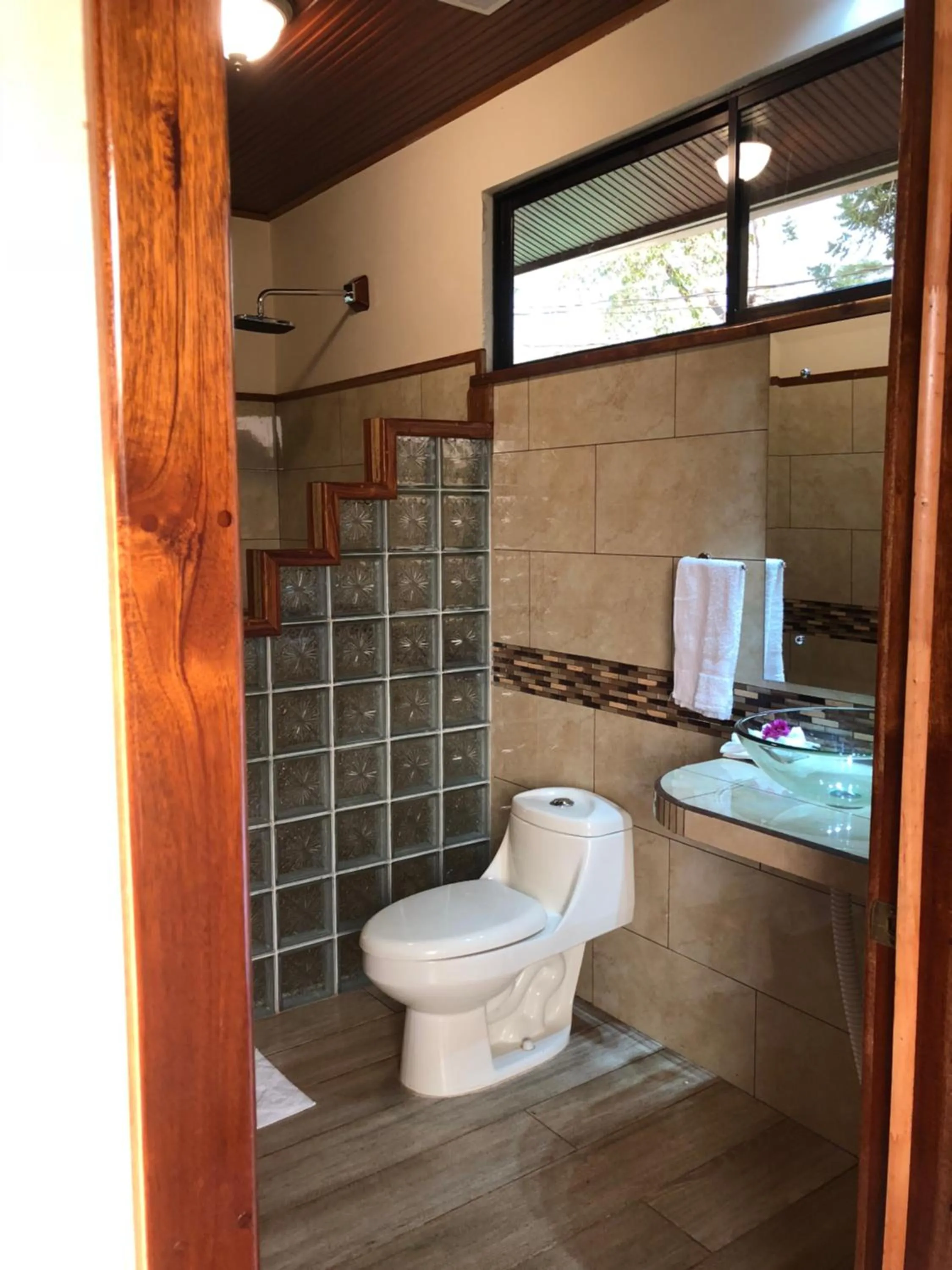 Jacamar Corcovado Drake Bay