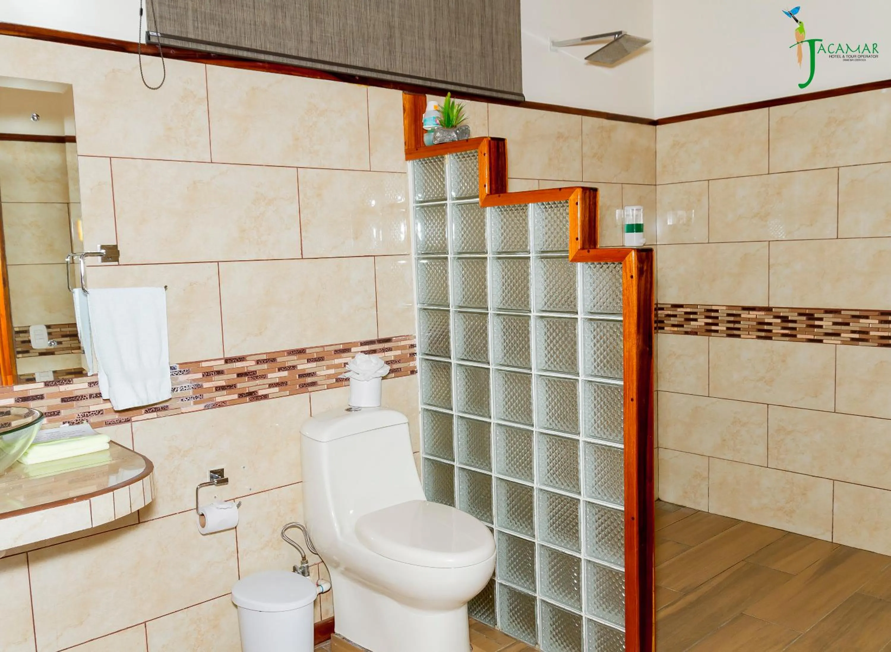 Jacamar Corcovado Drake Bay