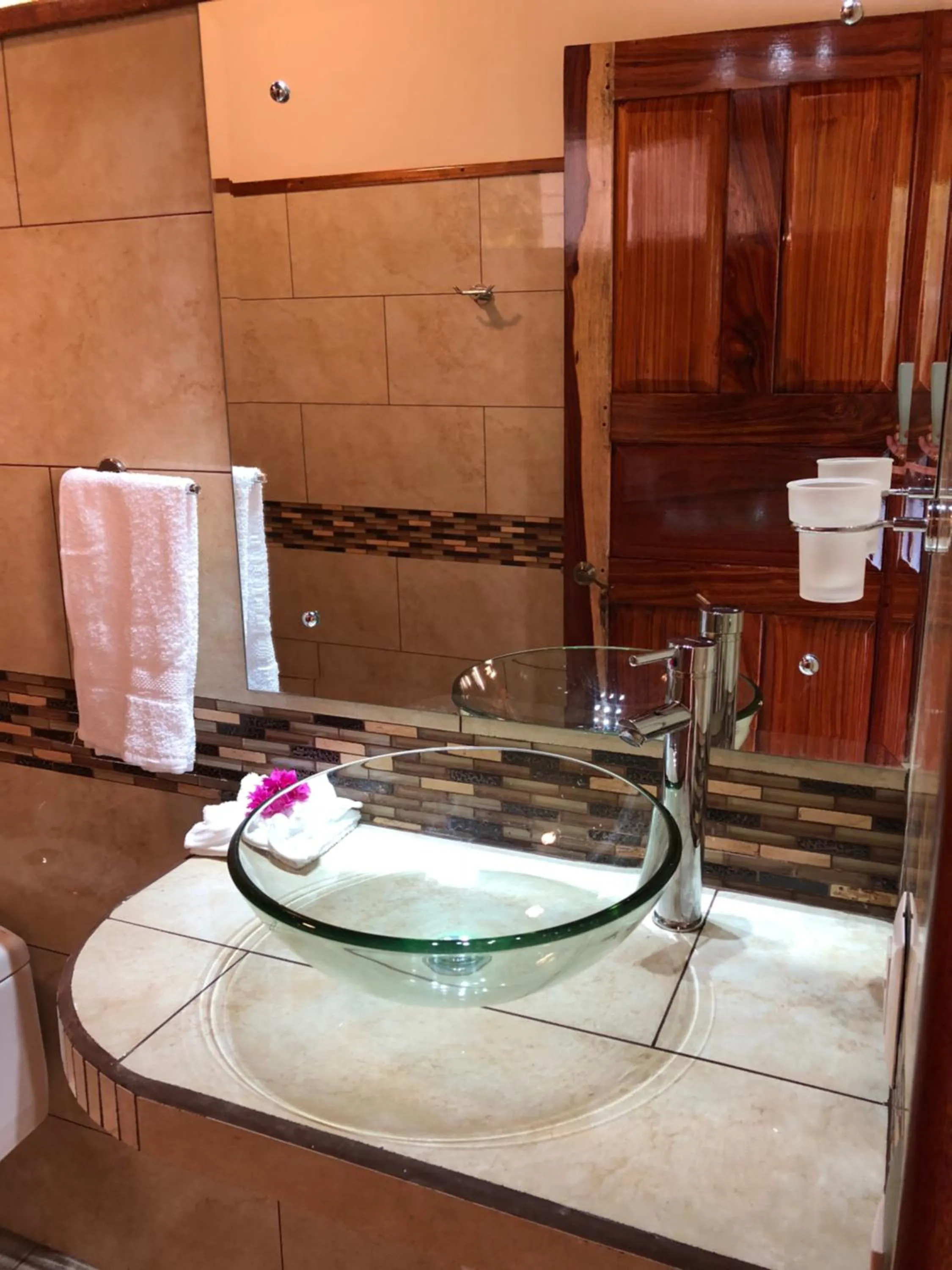 Jacamar Corcovado Drake Bay