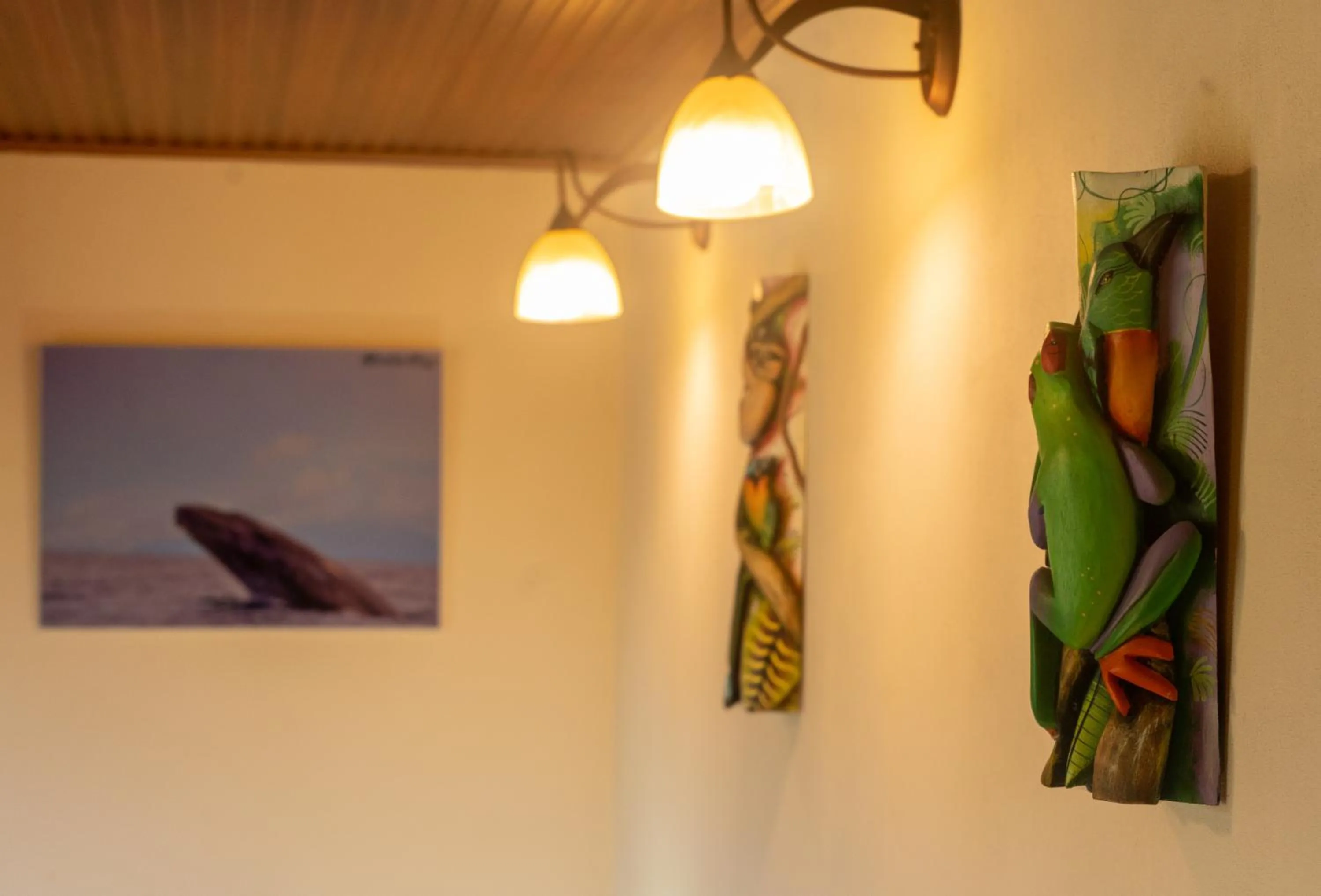 Jacamar Corcovado Drake Bay