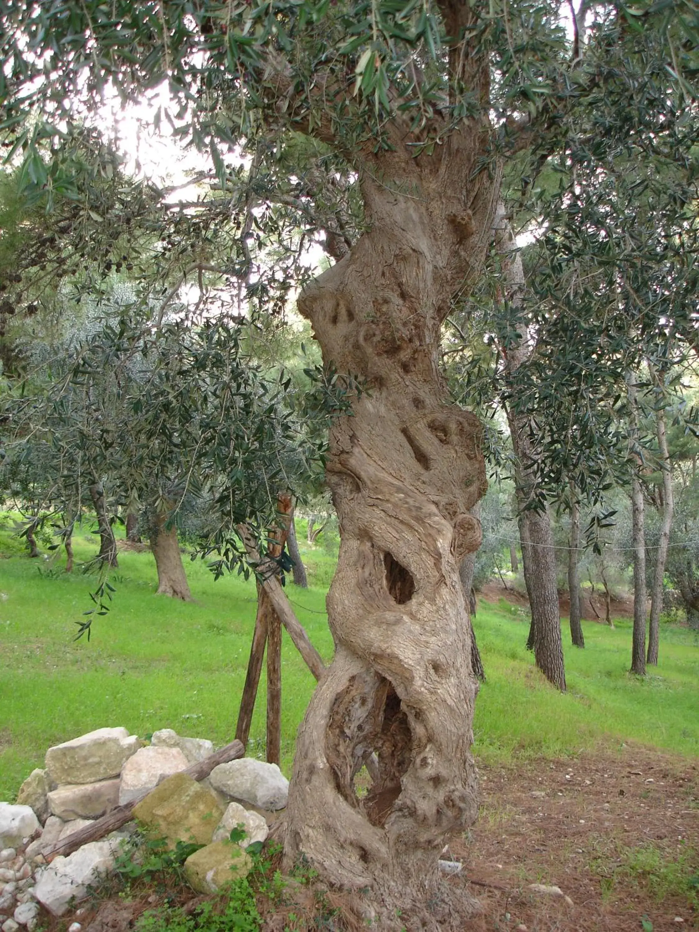 Property building in Baia Degli Aranci Suite & Apartments Property building in Baia Degli Aranci Suite & Apartments