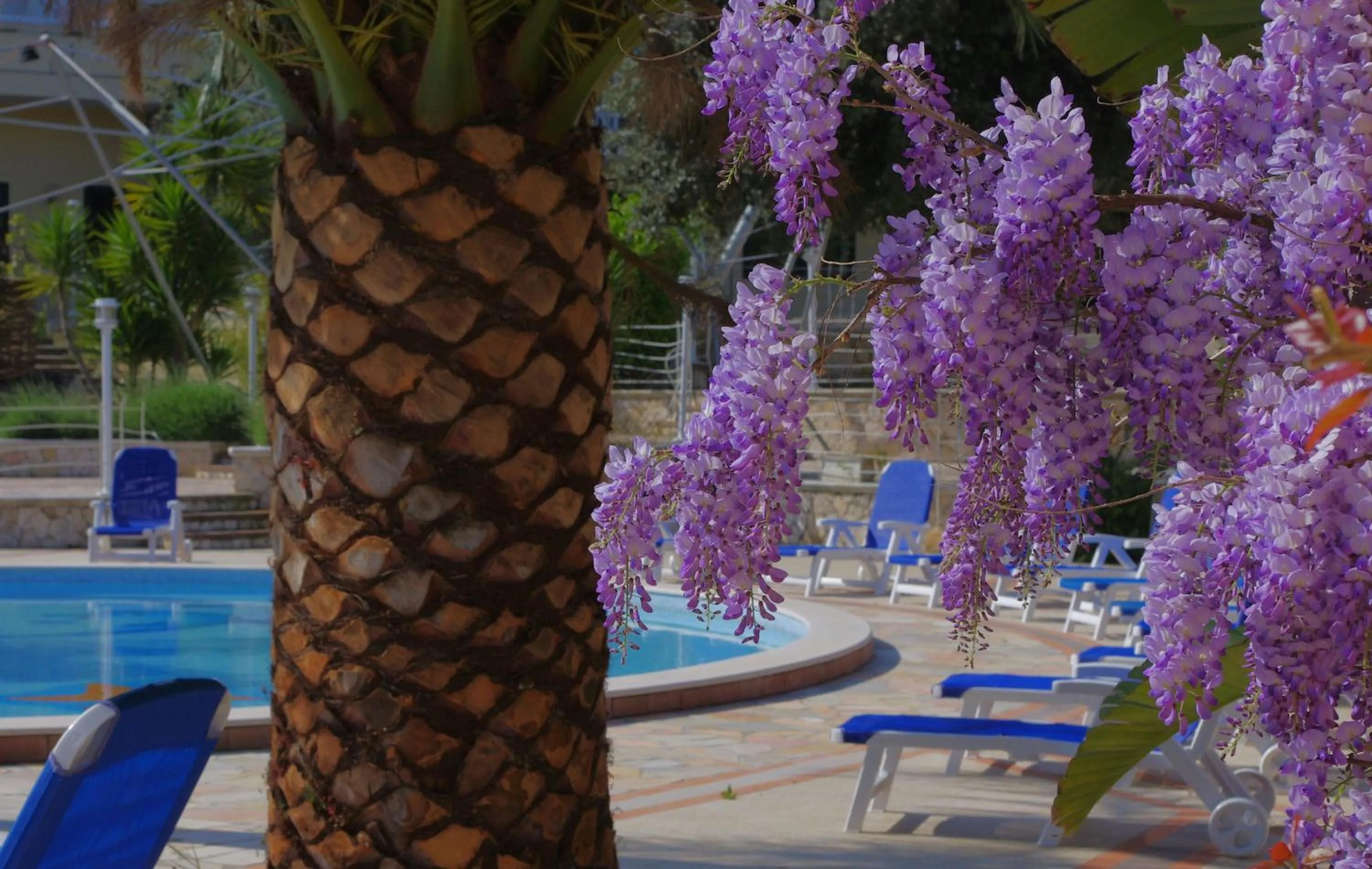 Swimming pool in Baia Degli Aranci Suite & Apartments