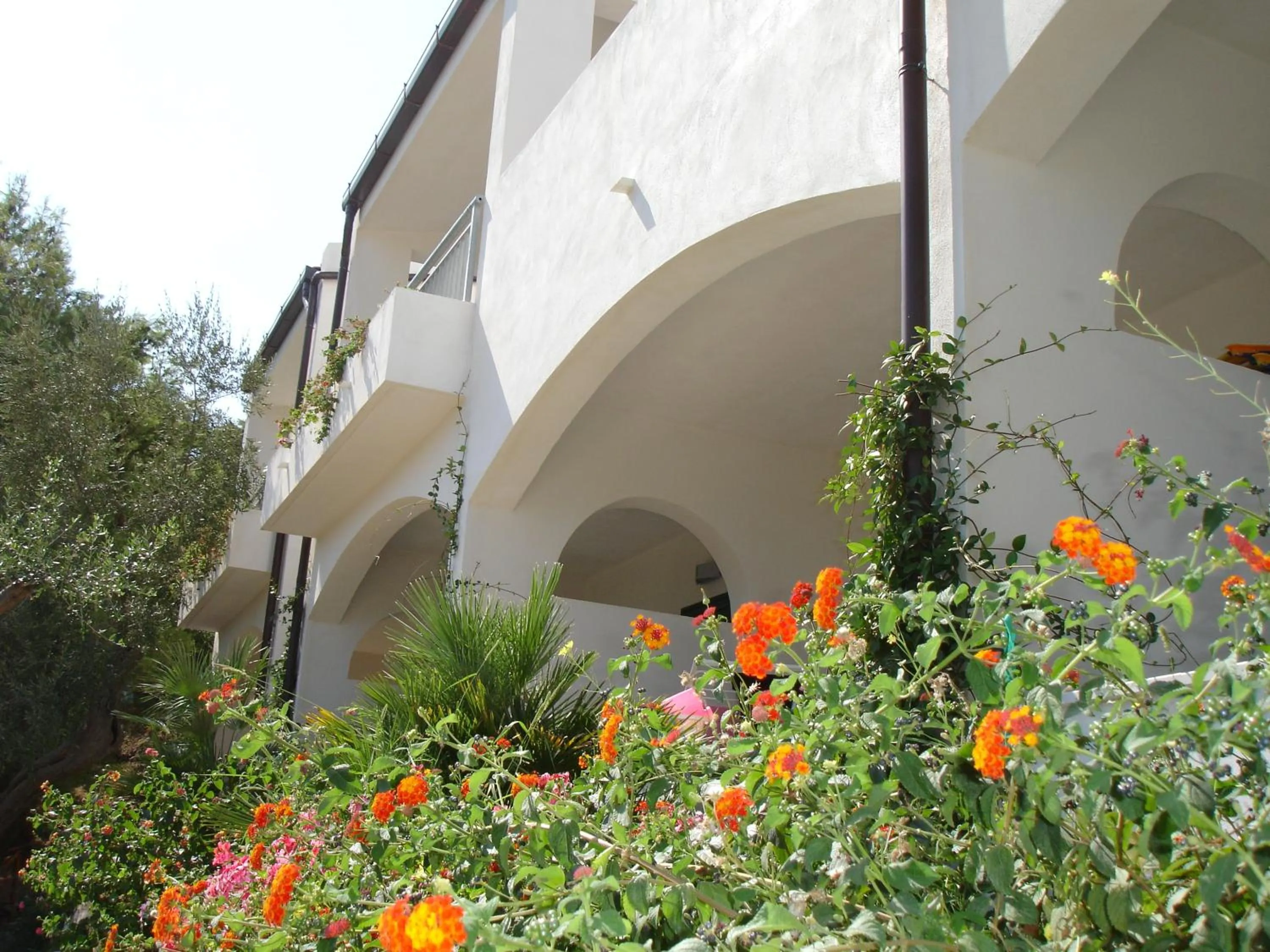 Day in Baia Degli Aranci Suite & Apartments