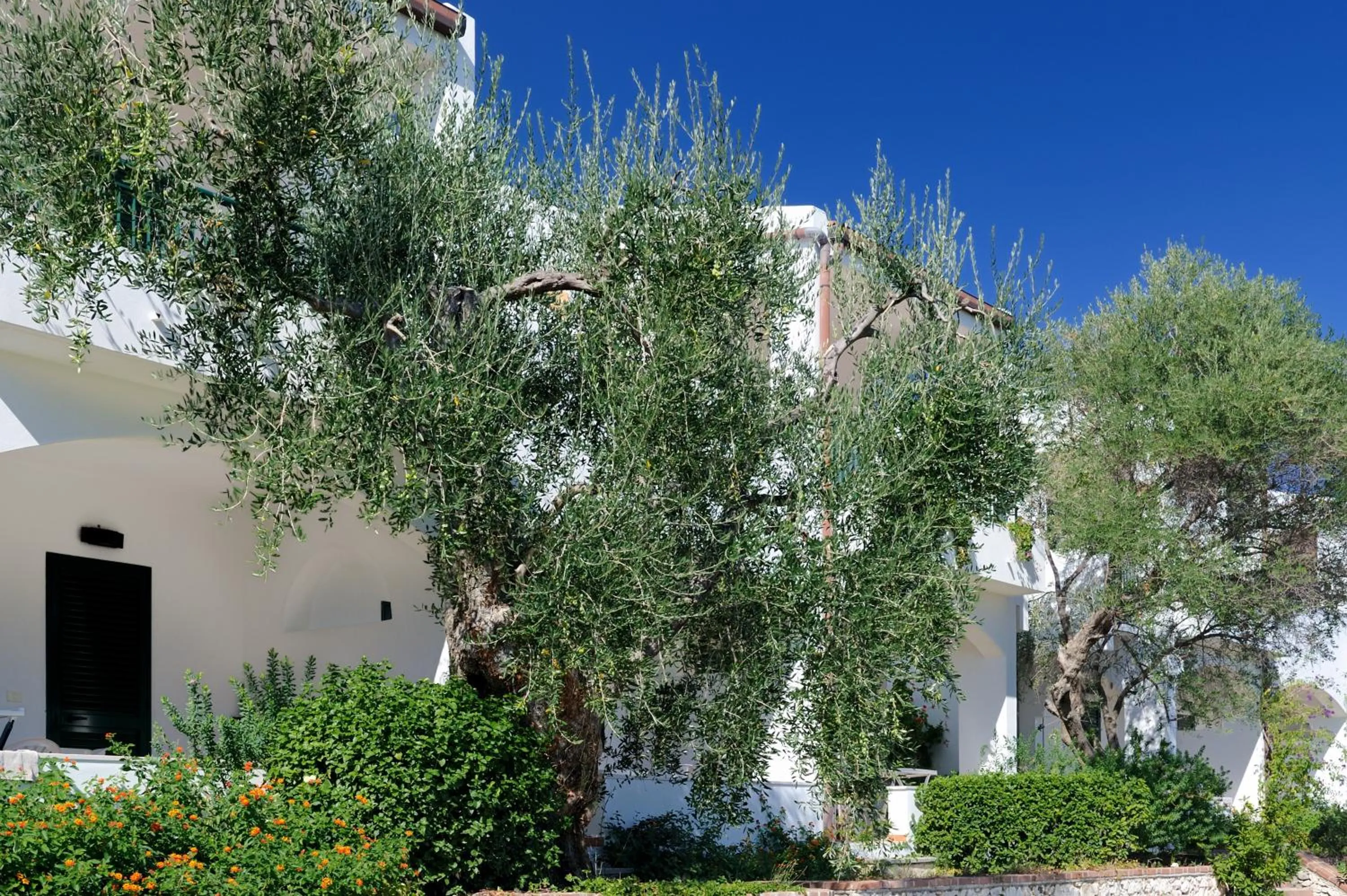 Balcony/Terrace in Baia Degli Aranci Suite & Apartments