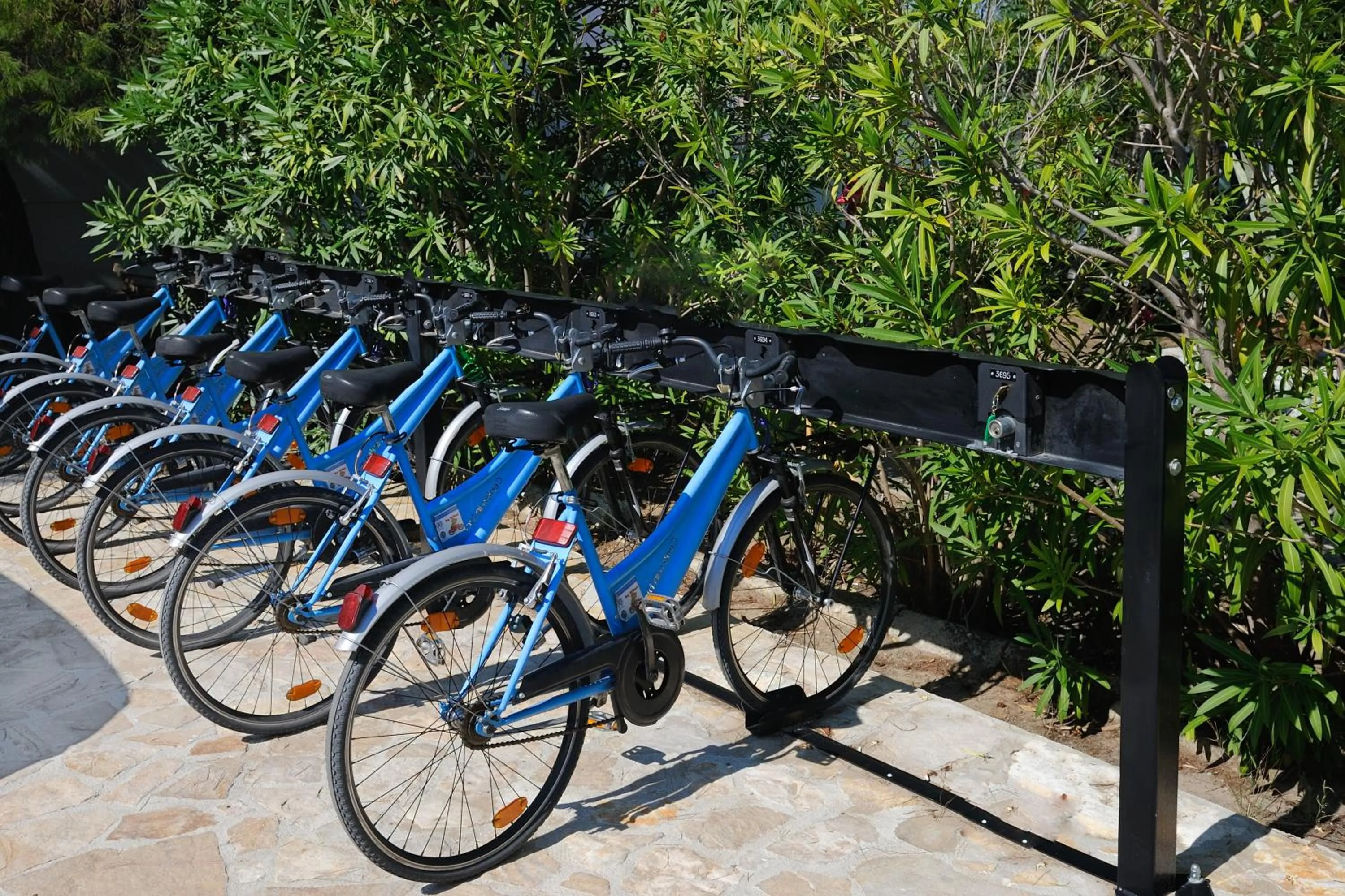 Cycling in Baia Degli Aranci Suite & Apartments