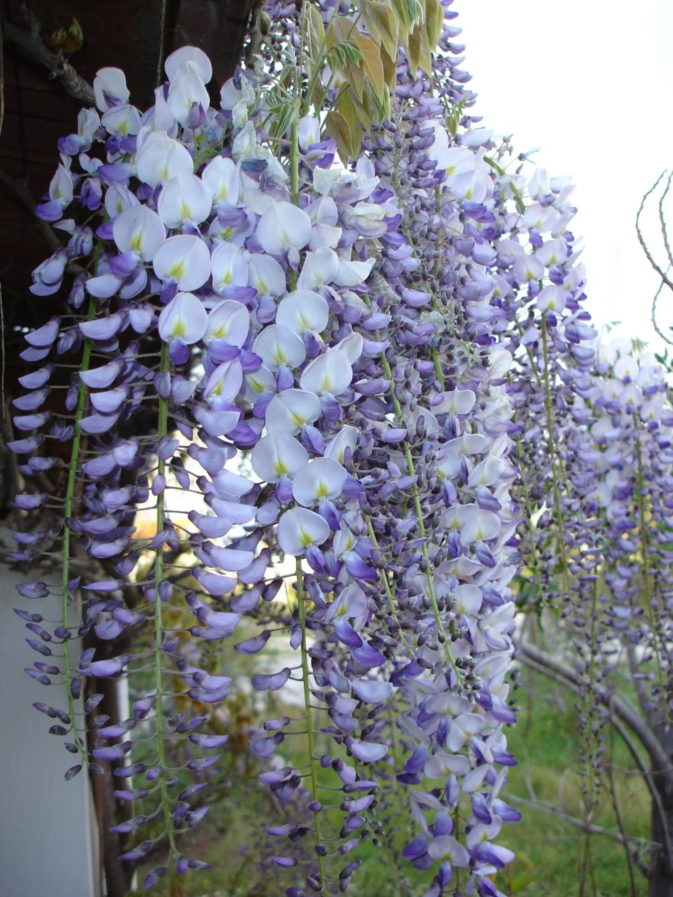 Facade/entrance in Baia Degli Aranci Suite & Apartments
