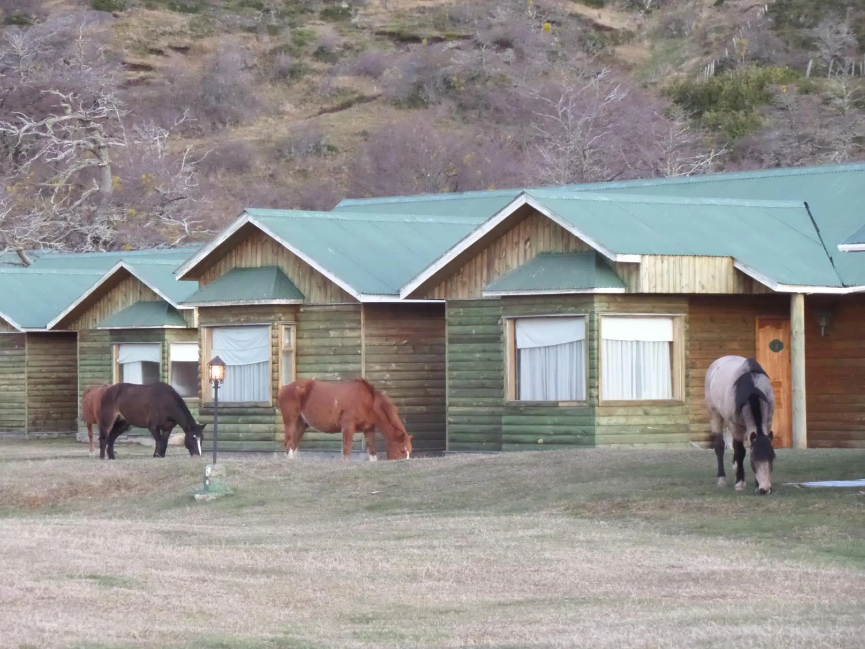 Basic Double Room in Hotel del Paine Basic Double Room in Hotel del Paine