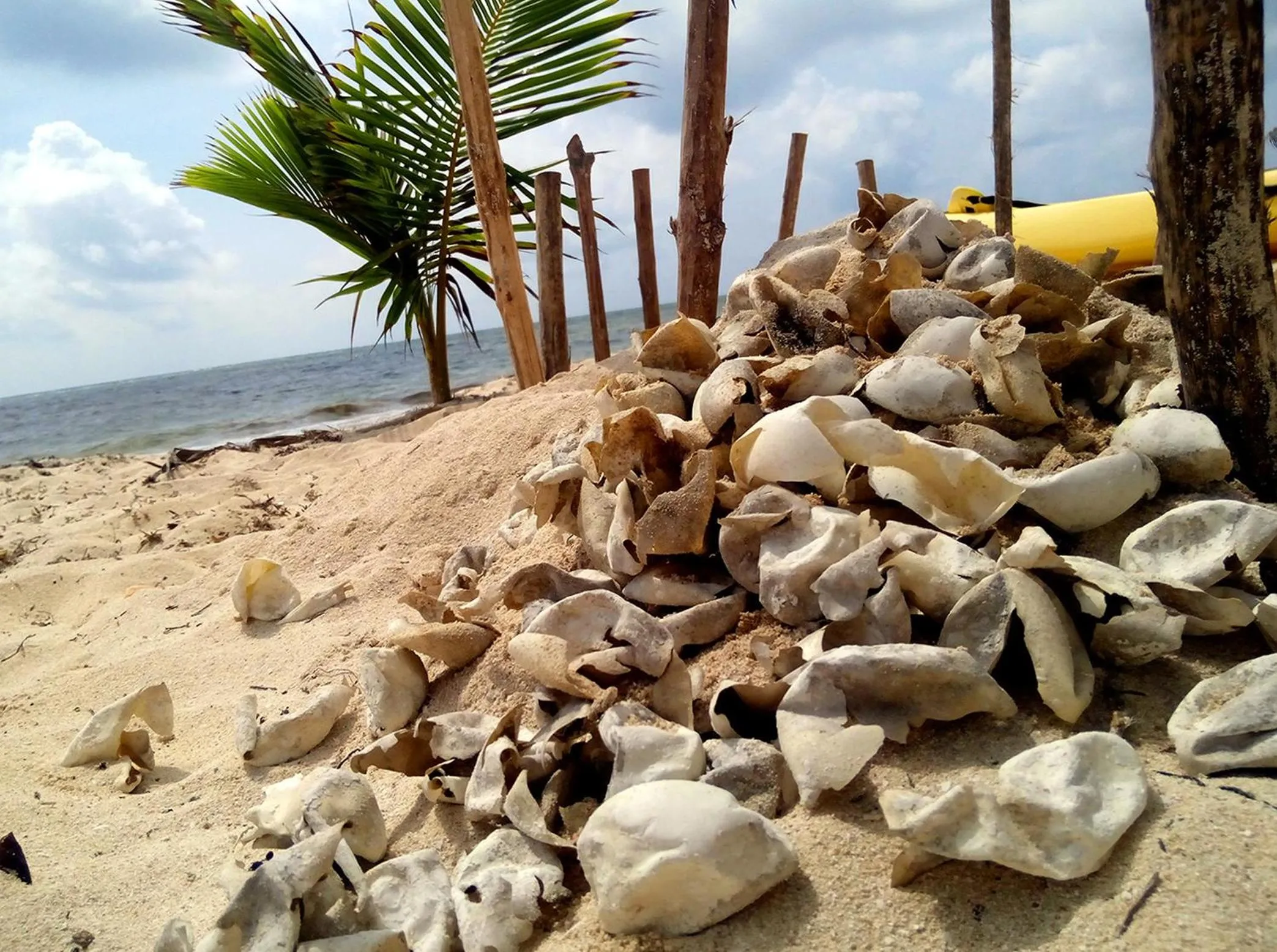 Day in Mayan Beach Garden