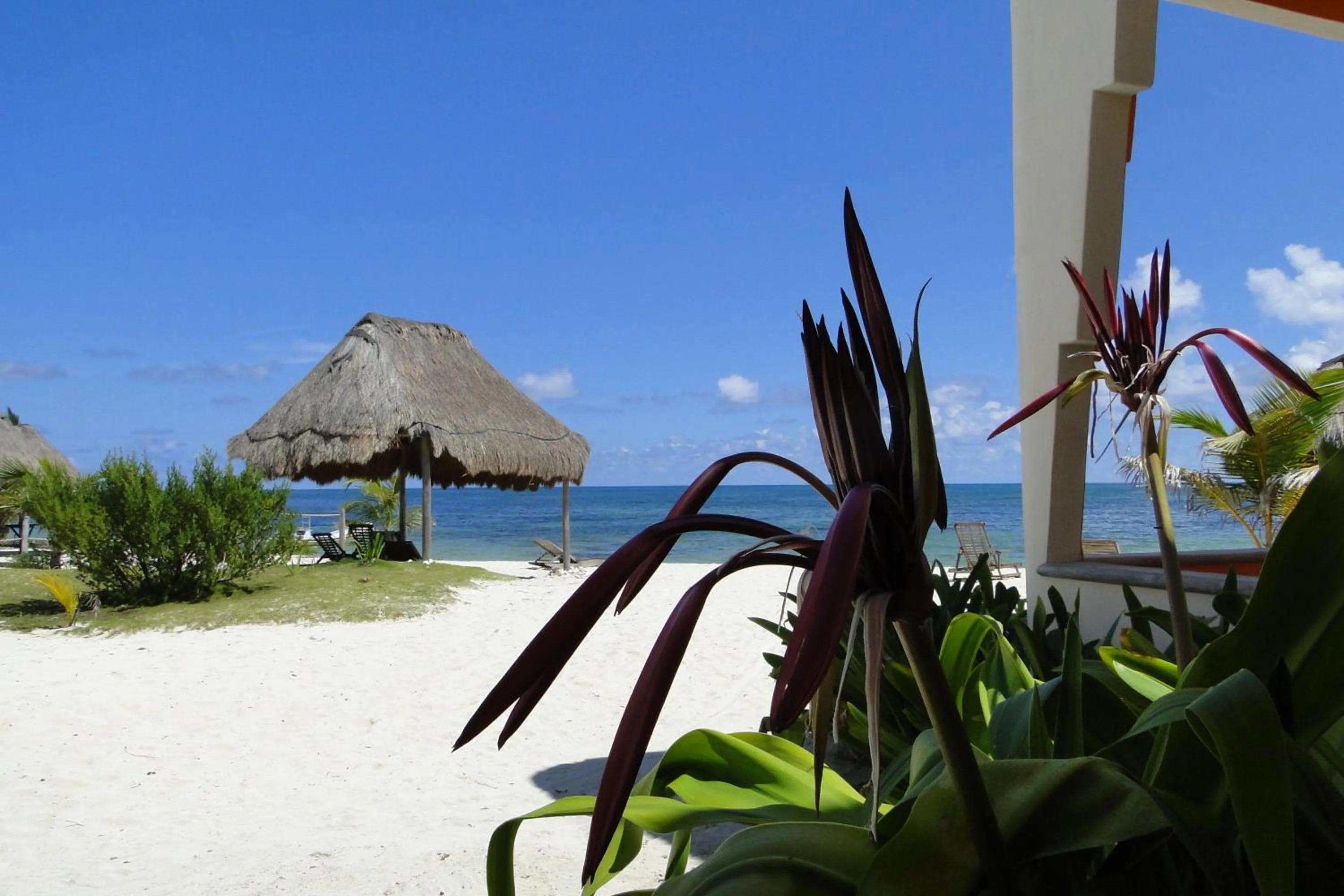 Patio in Mayan Beach Garden