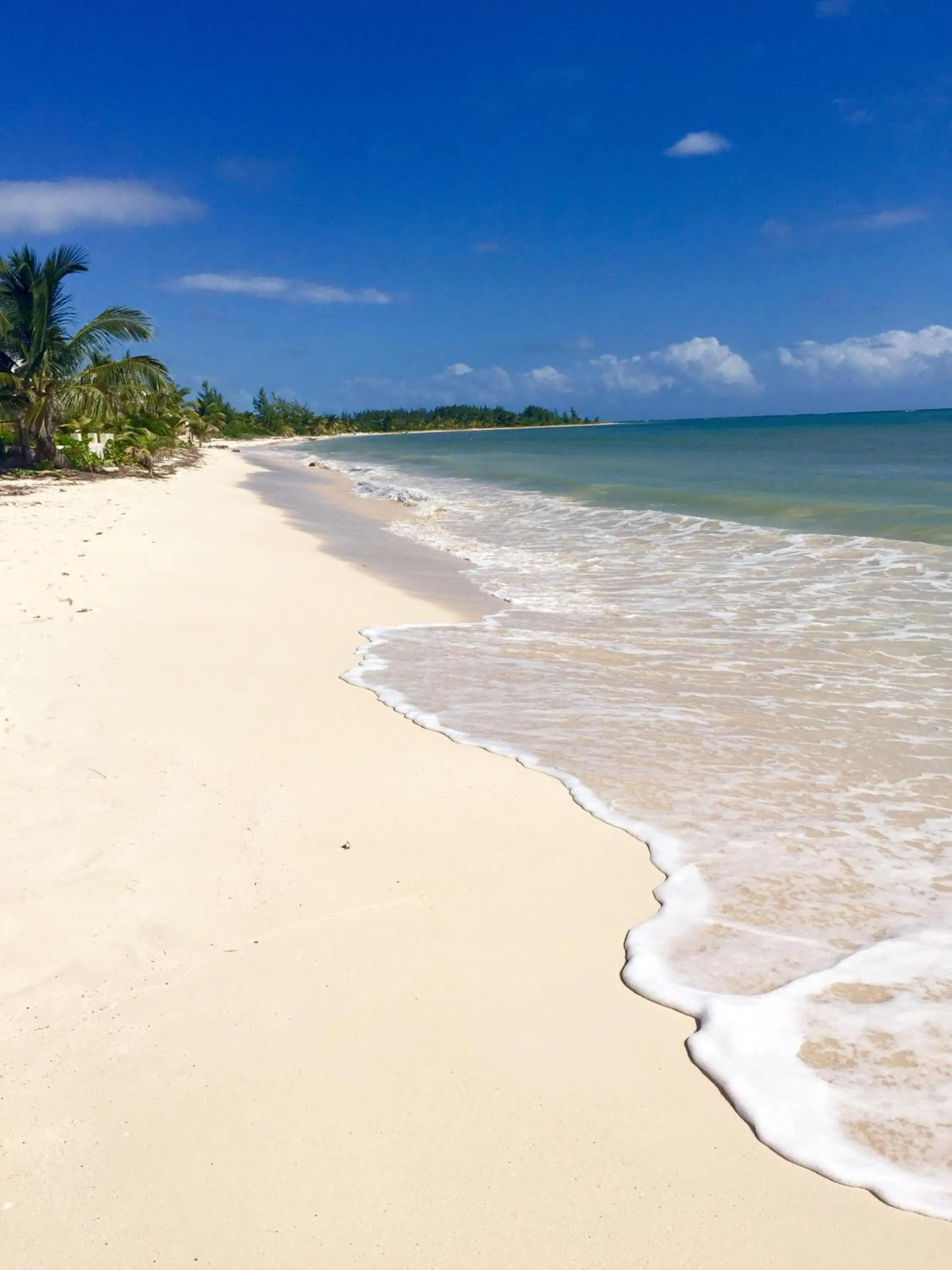 Beach in Mayan Beach Garden
