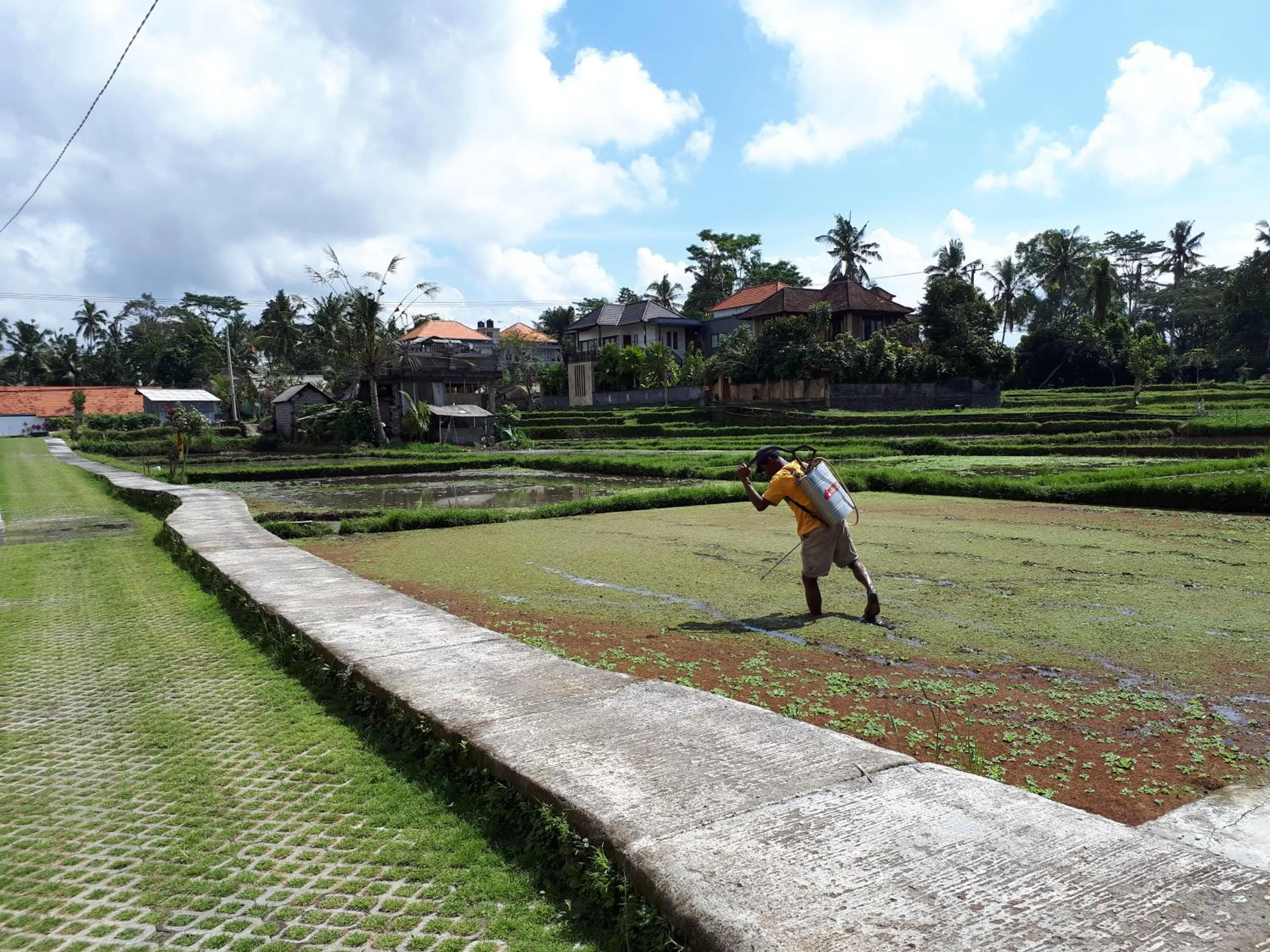 Garden view in Villa Kirani Ubud by Mahaputra-CHSE Certified
