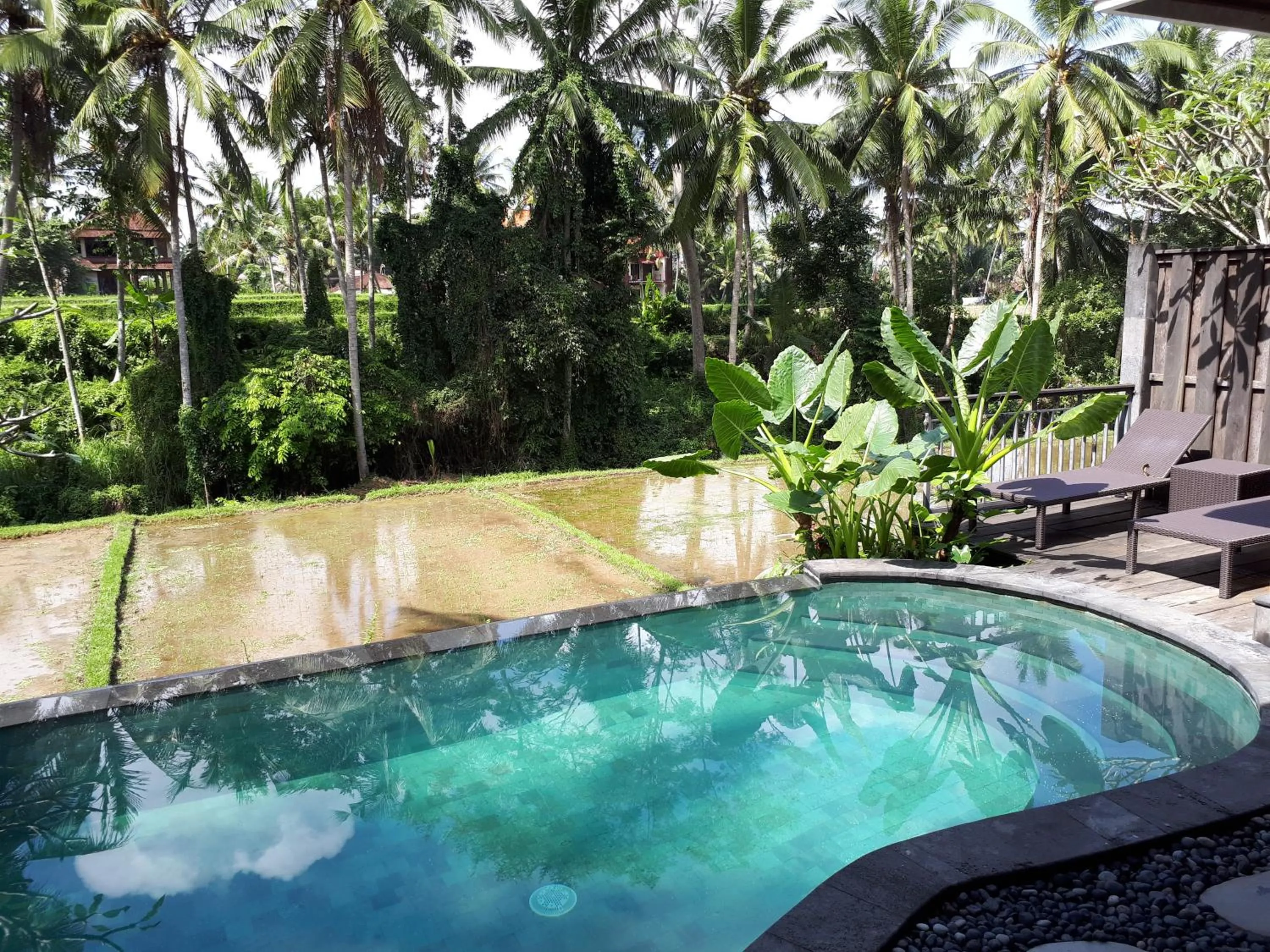 Swimming pool in Villa Kirani Ubud by Mahaputra-CHSE Certified