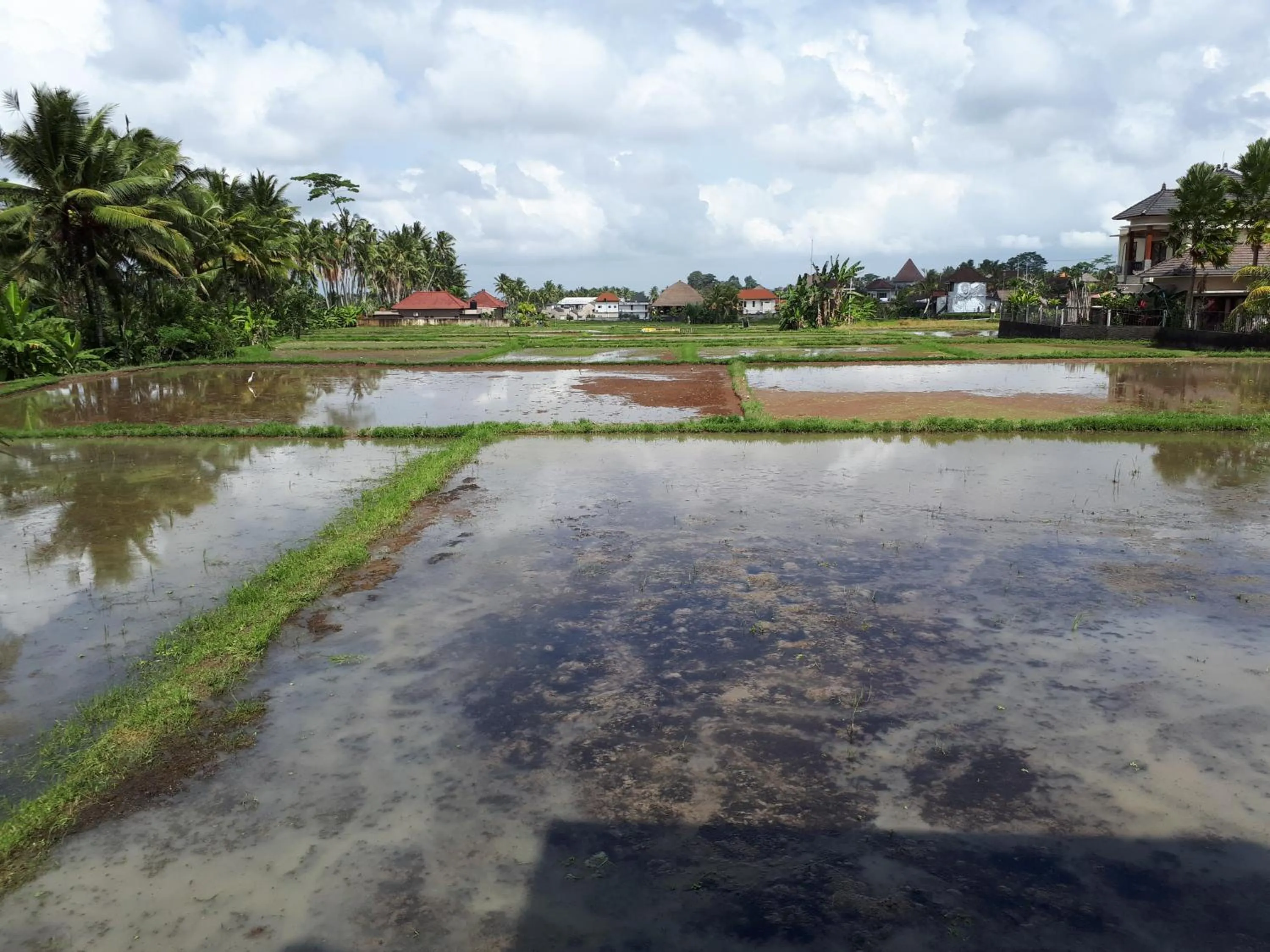 Garden view in Villa Kirani Ubud by Mahaputra-CHSE Certified