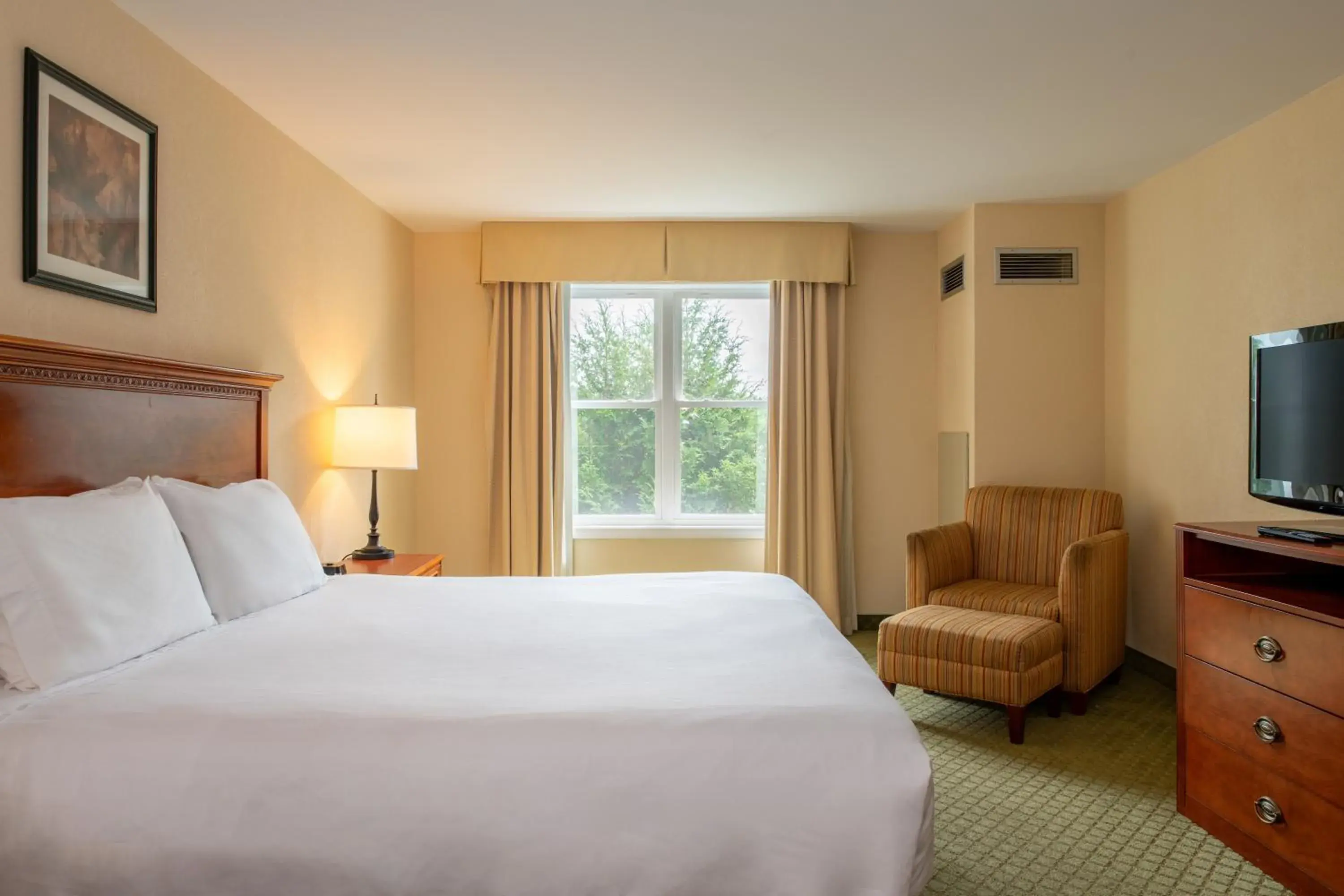 King Studio in White River Inn & Suites King Studio in White River Inn & Suites