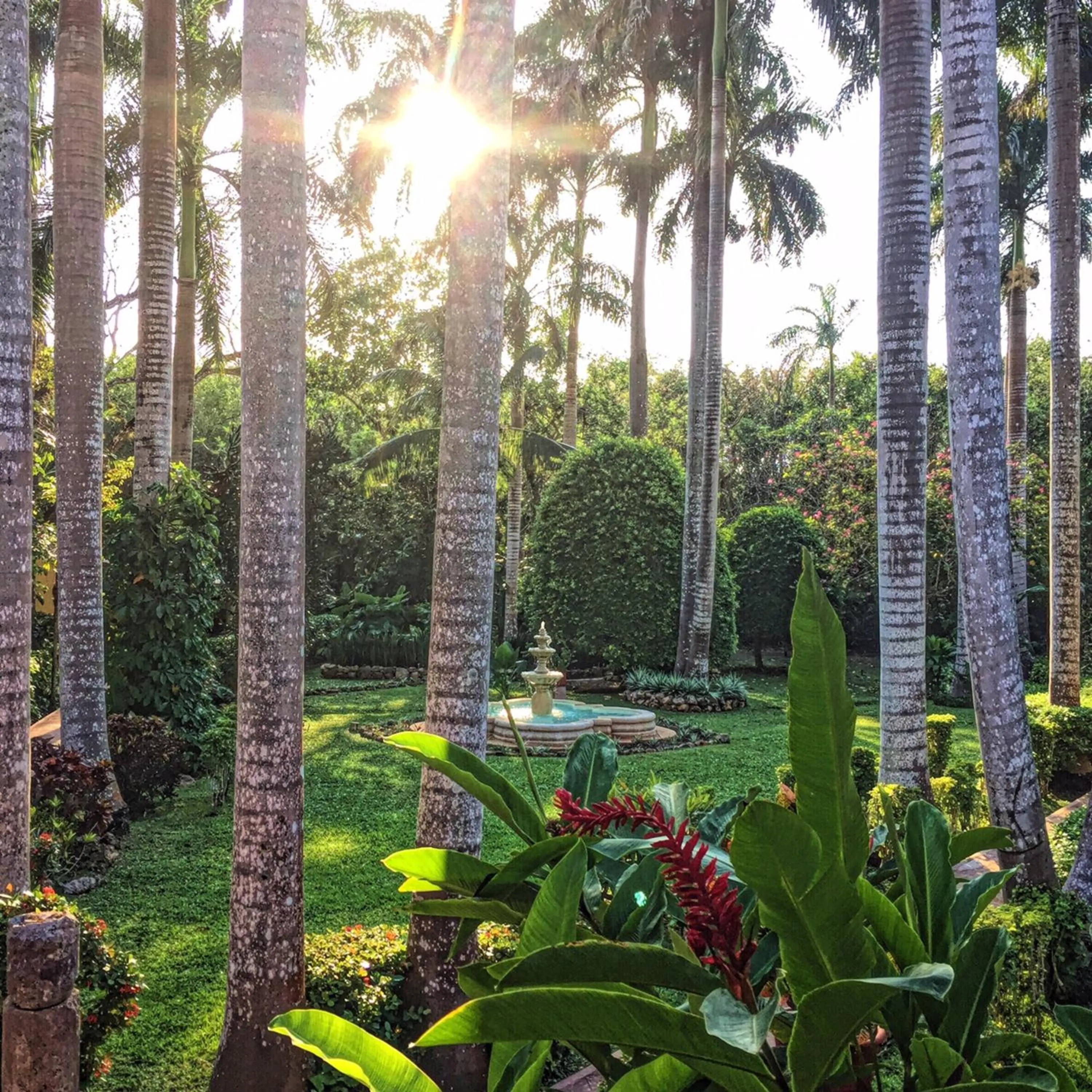 Natural landscape in Hacienda Chichen Resort and Yaxkin Spa