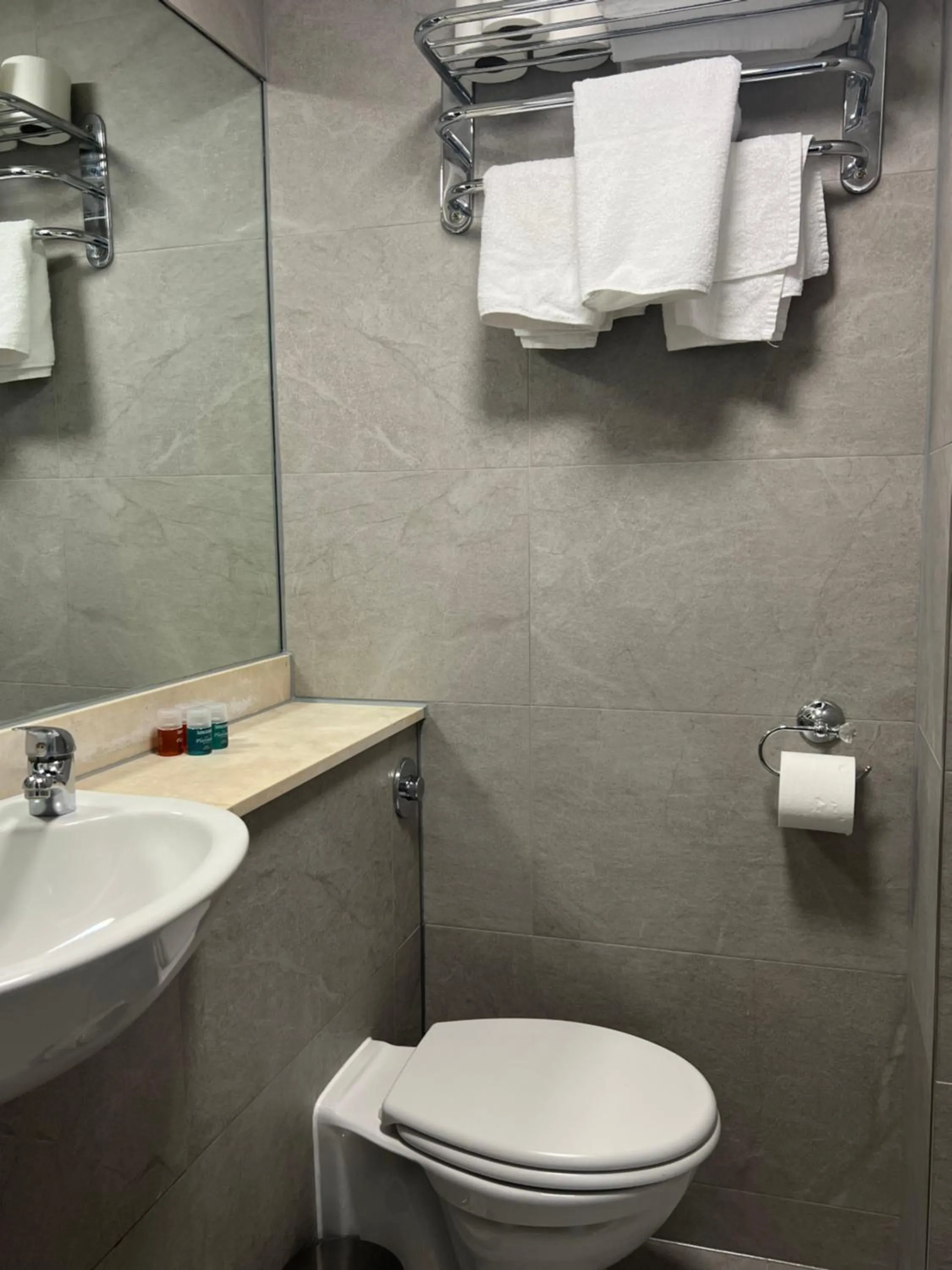 Toilet in Hotel Cavendish