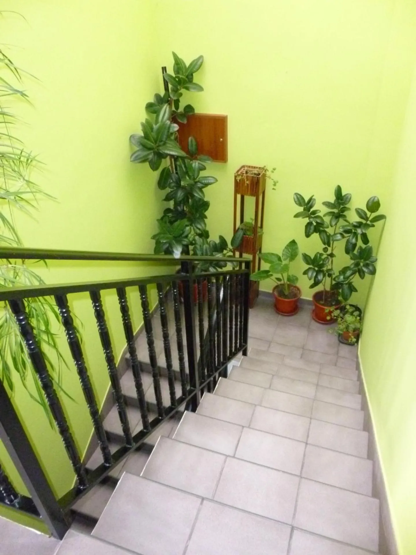 Area and facilities in Hostal Ciudad de Nájera