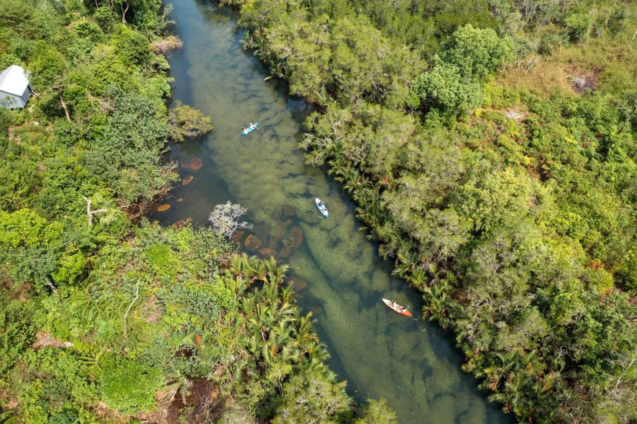 Activities in Mafiya Resort