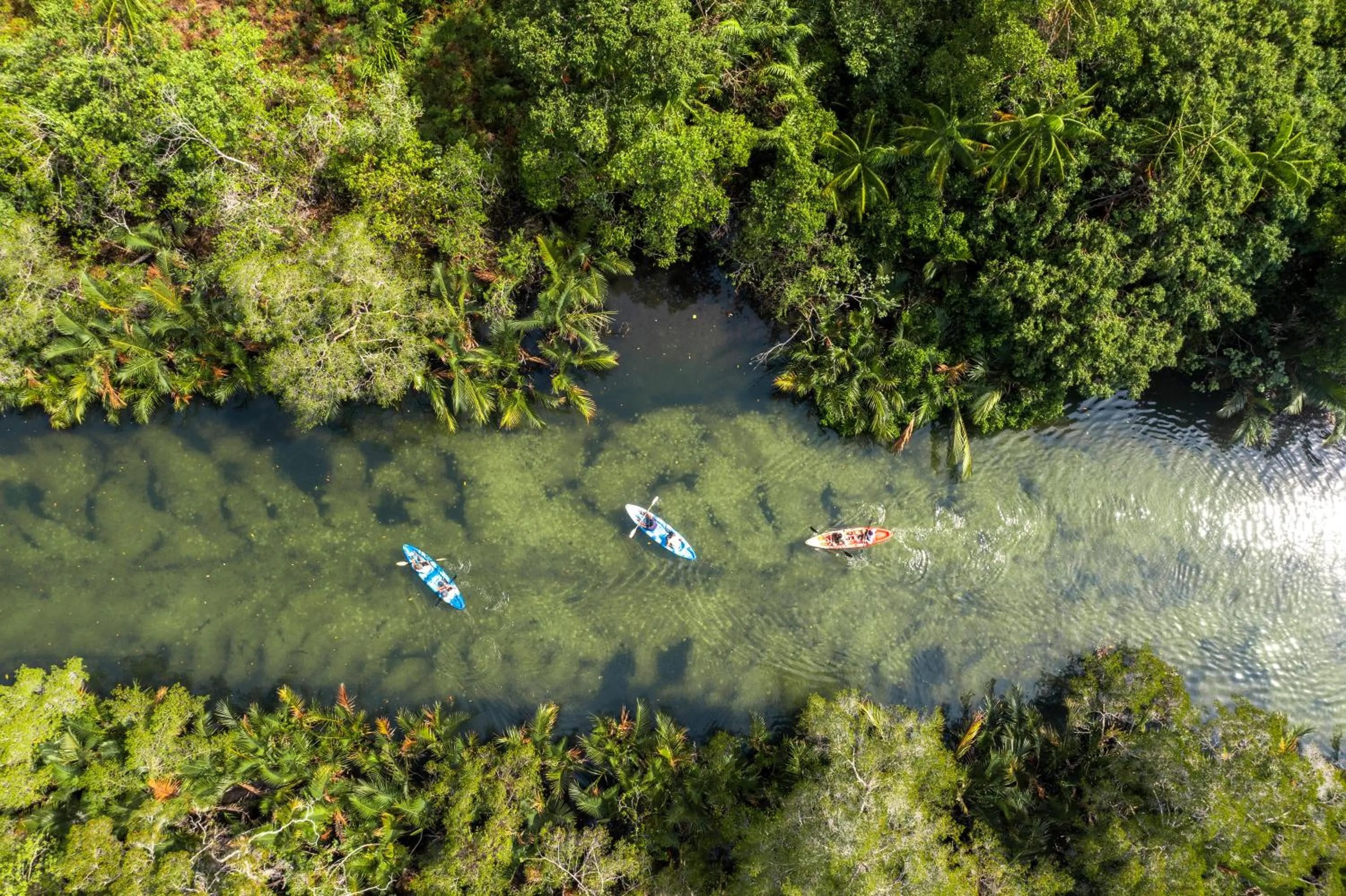 Activities in Mafiya Resort