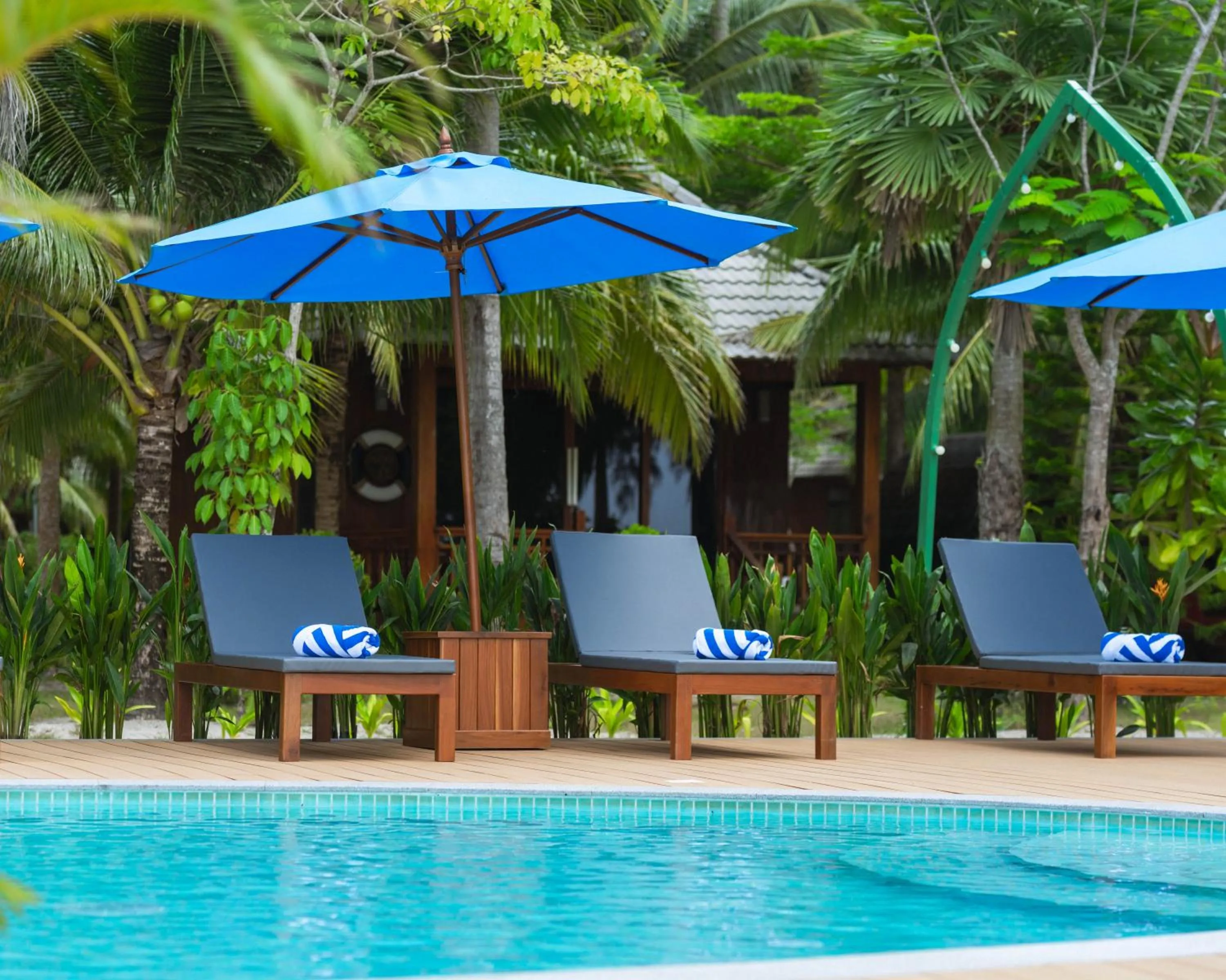 Swimming pool in Mafiya Resort