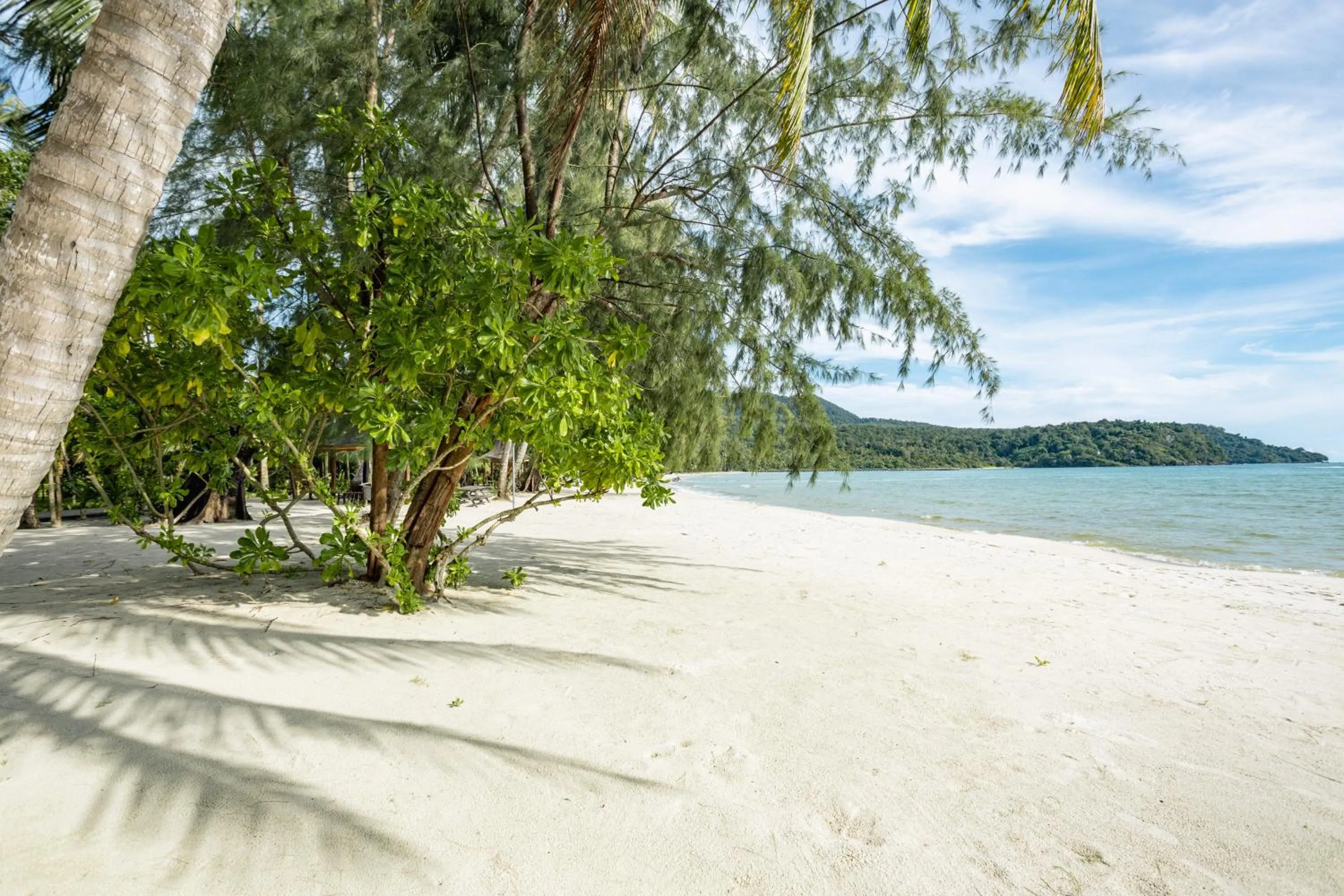Beach in Mafiya Resort