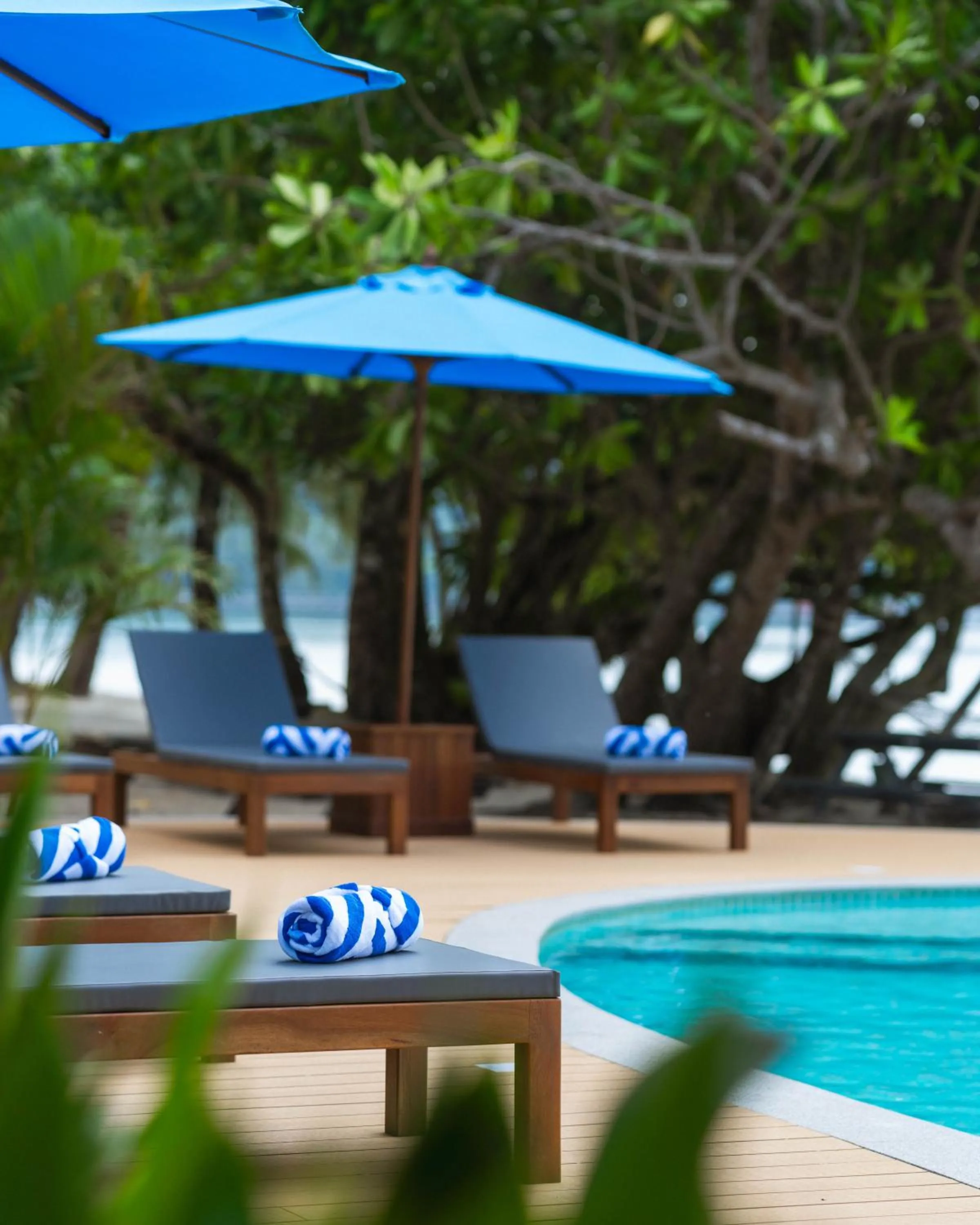 Swimming pool in Mafiya Resort