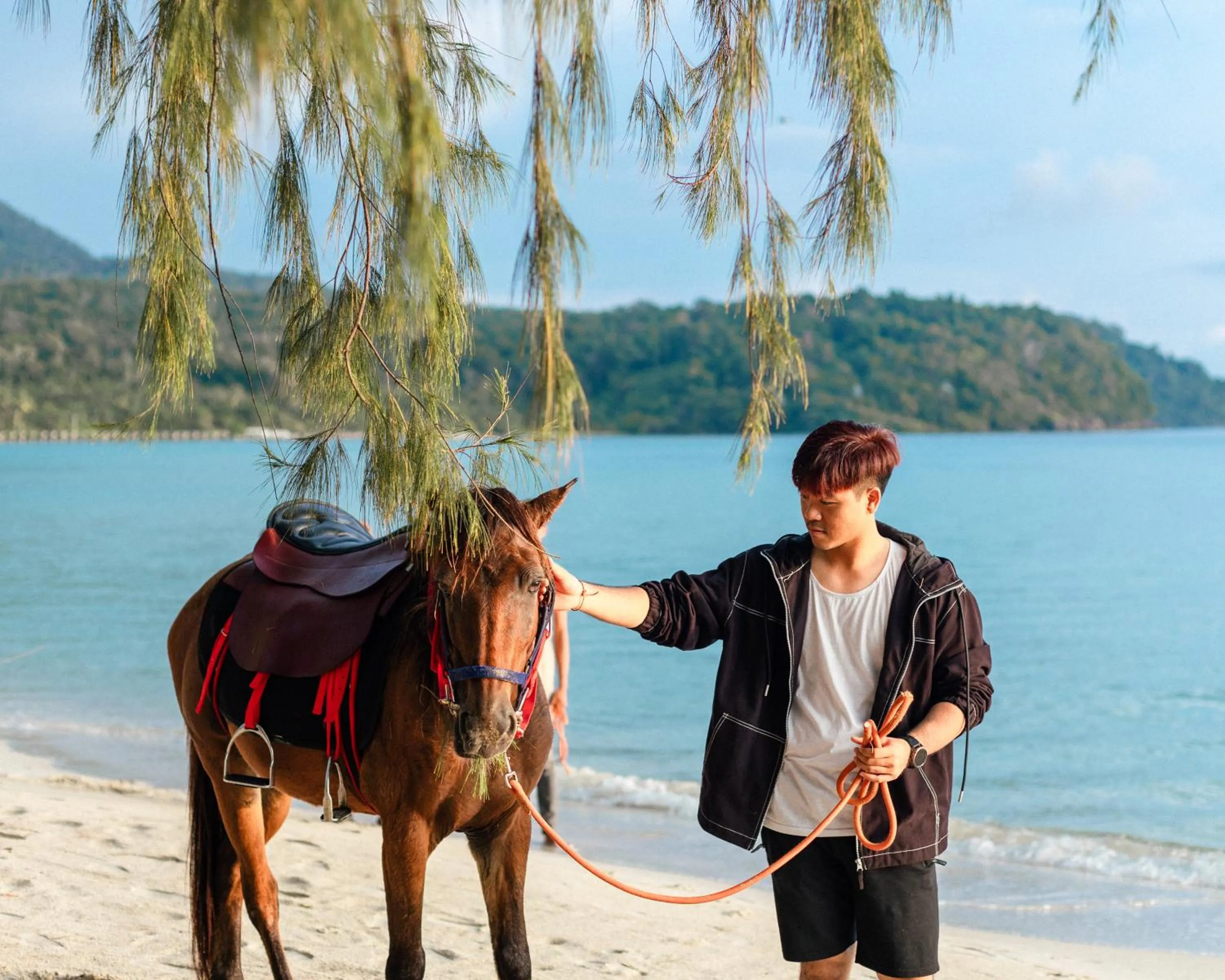 Horse-riding in Mafiya Resort