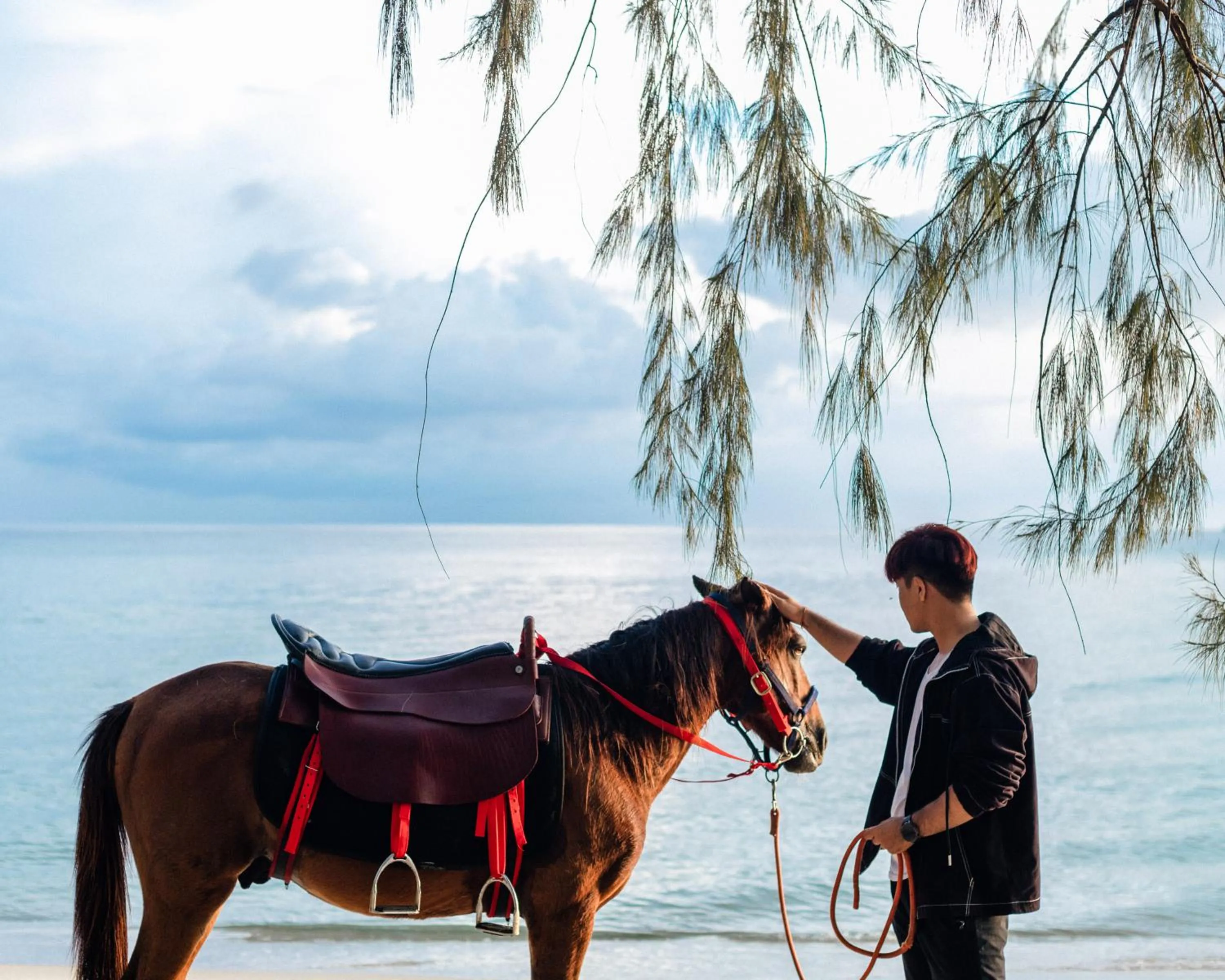 Horse-riding in Mafiya Resort