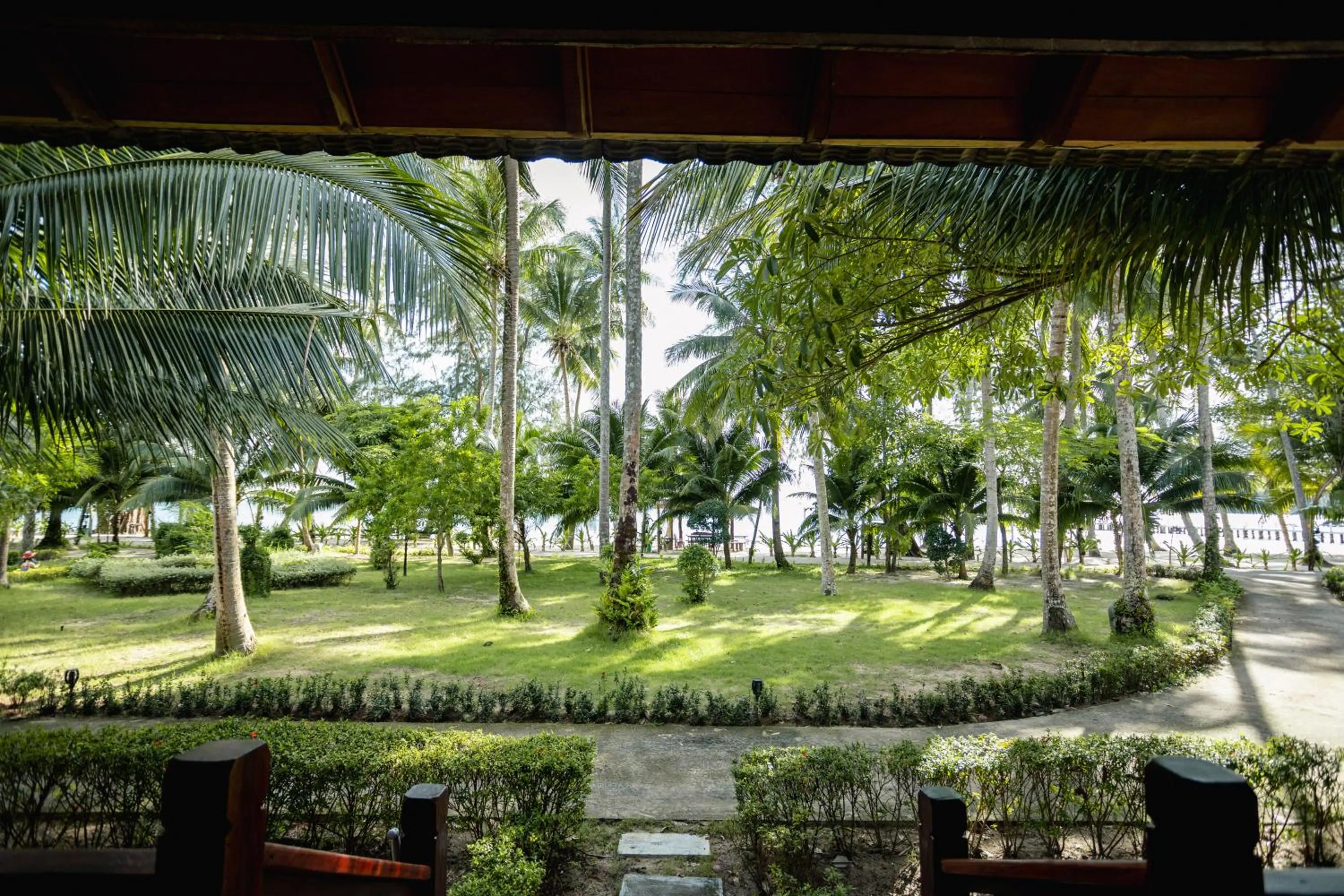 Garden view in Mafiya Resort