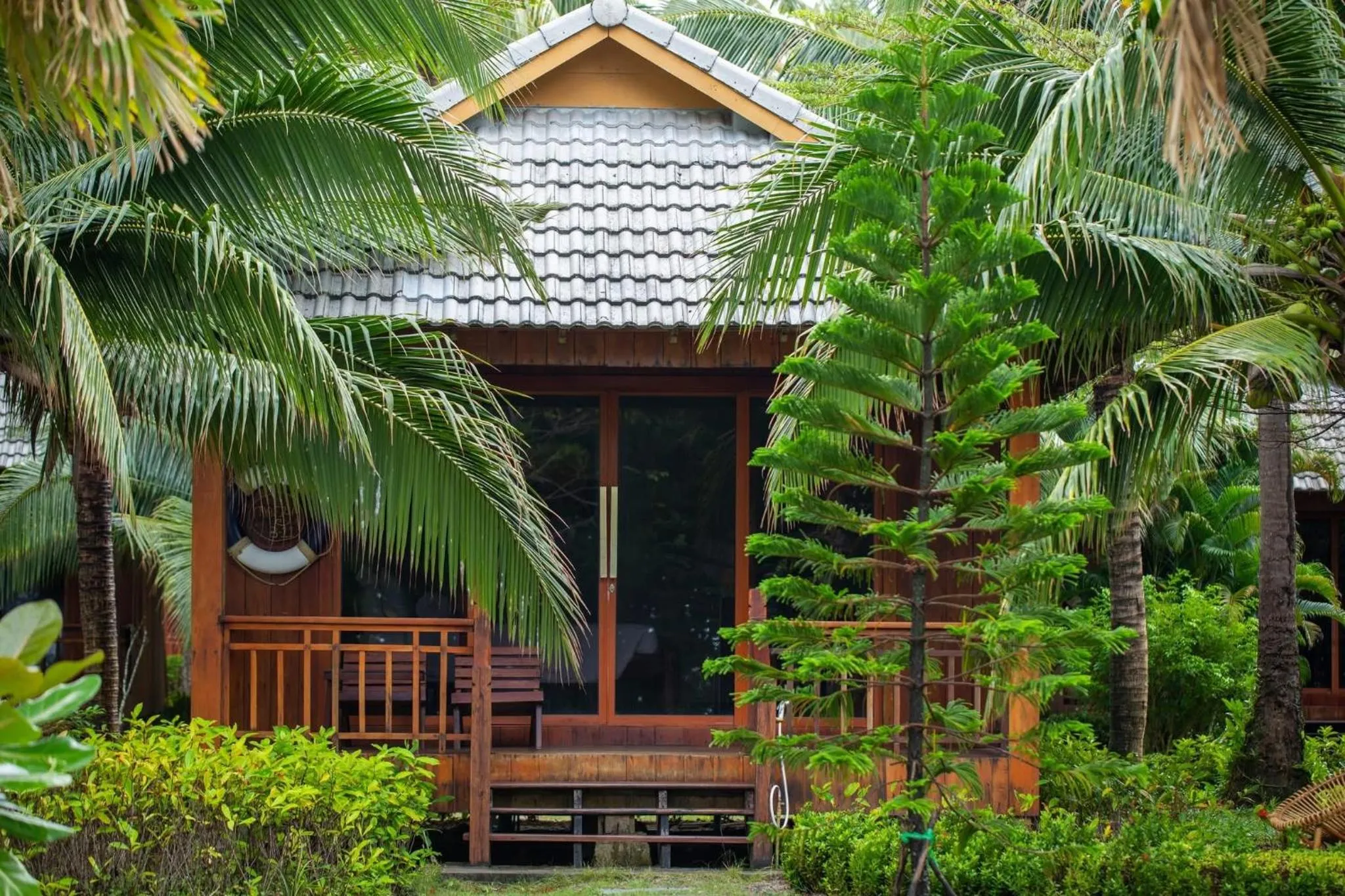 View (from property/room) in Mafiya Resort