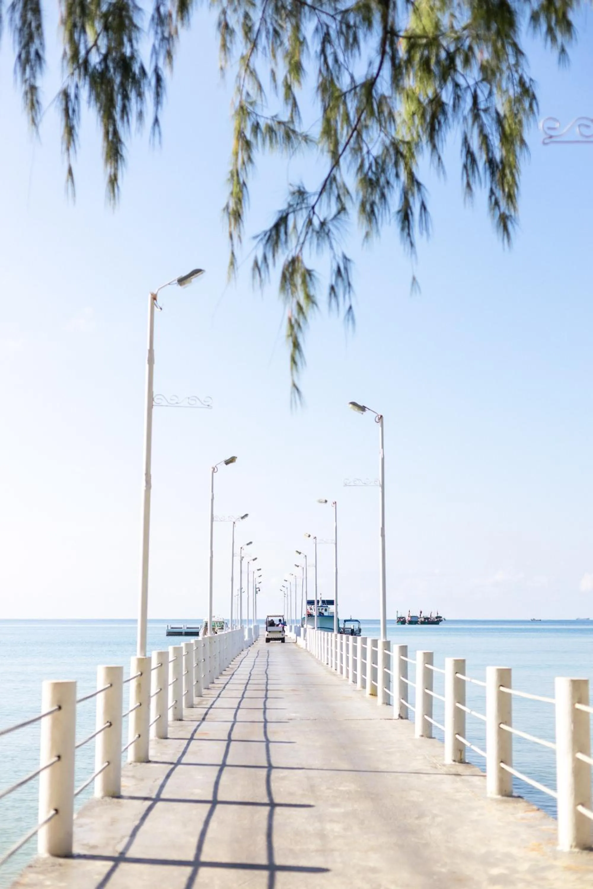 View (from property/room) in Mafiya Resort