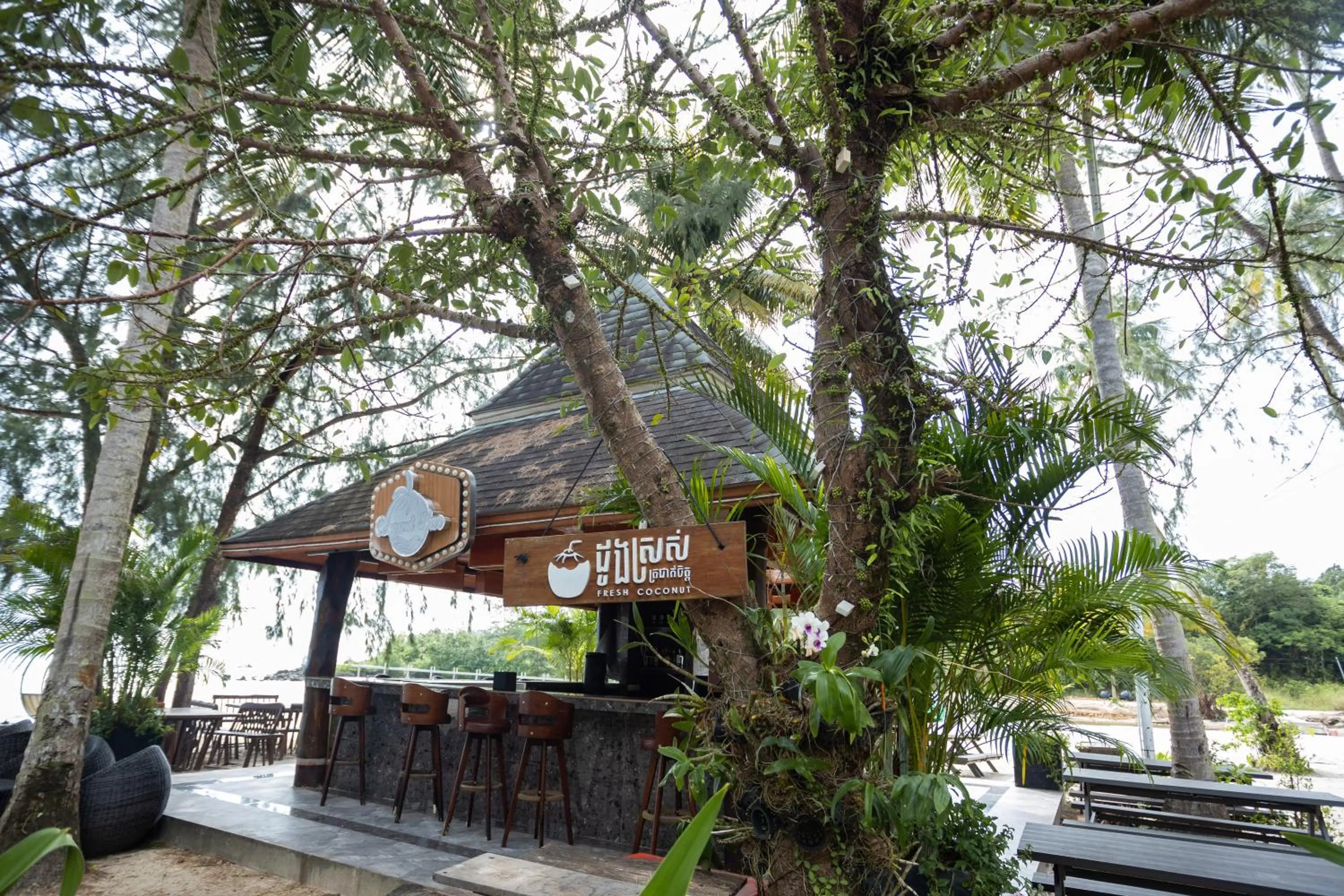 Lounge or bar in Mafiya Resort