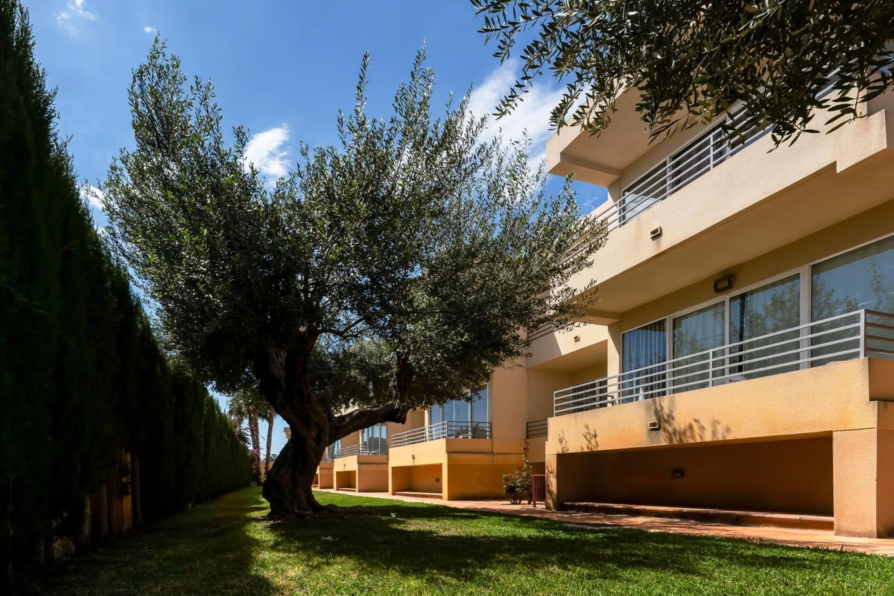 Garden in Hospedium Hotel Abril