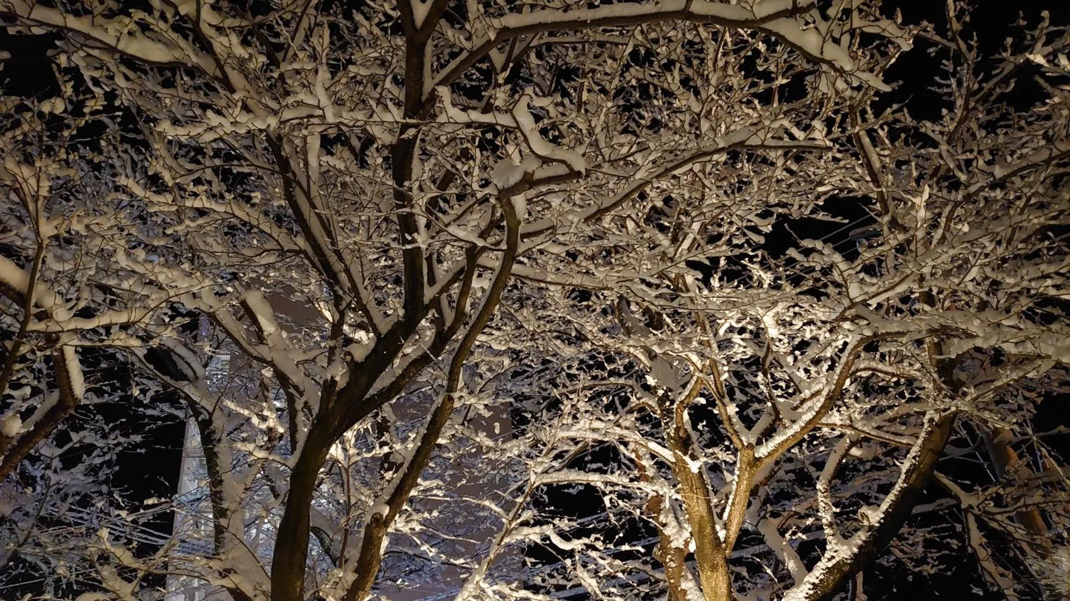 Property building in 宮島離れの宿 IBUKU -Miyajima Hanare no Yado IBUKU-