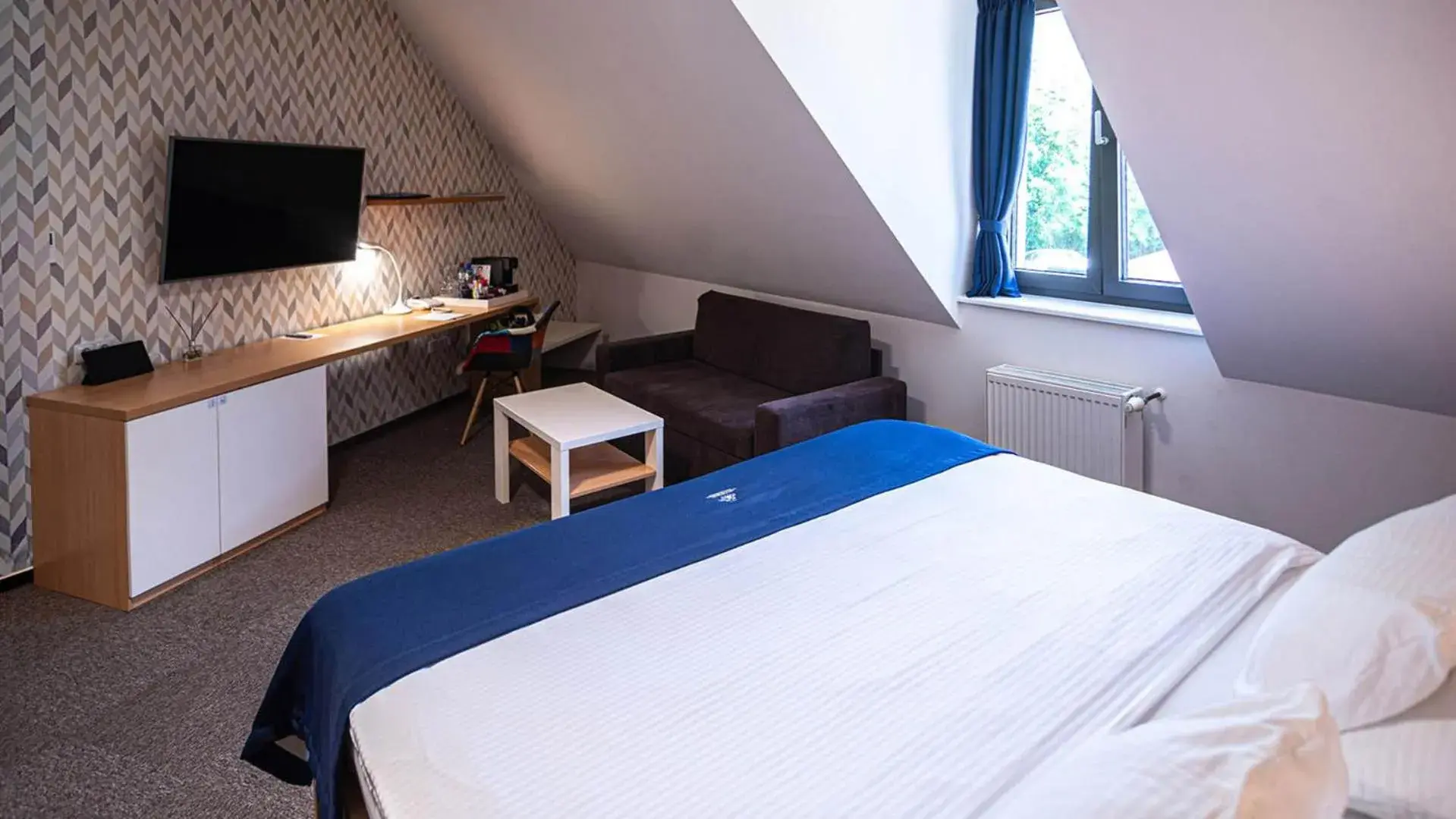 Junior Suite in HOTEL Hraniční zámeček Junior Suite in HOTEL Hraniční zámeček