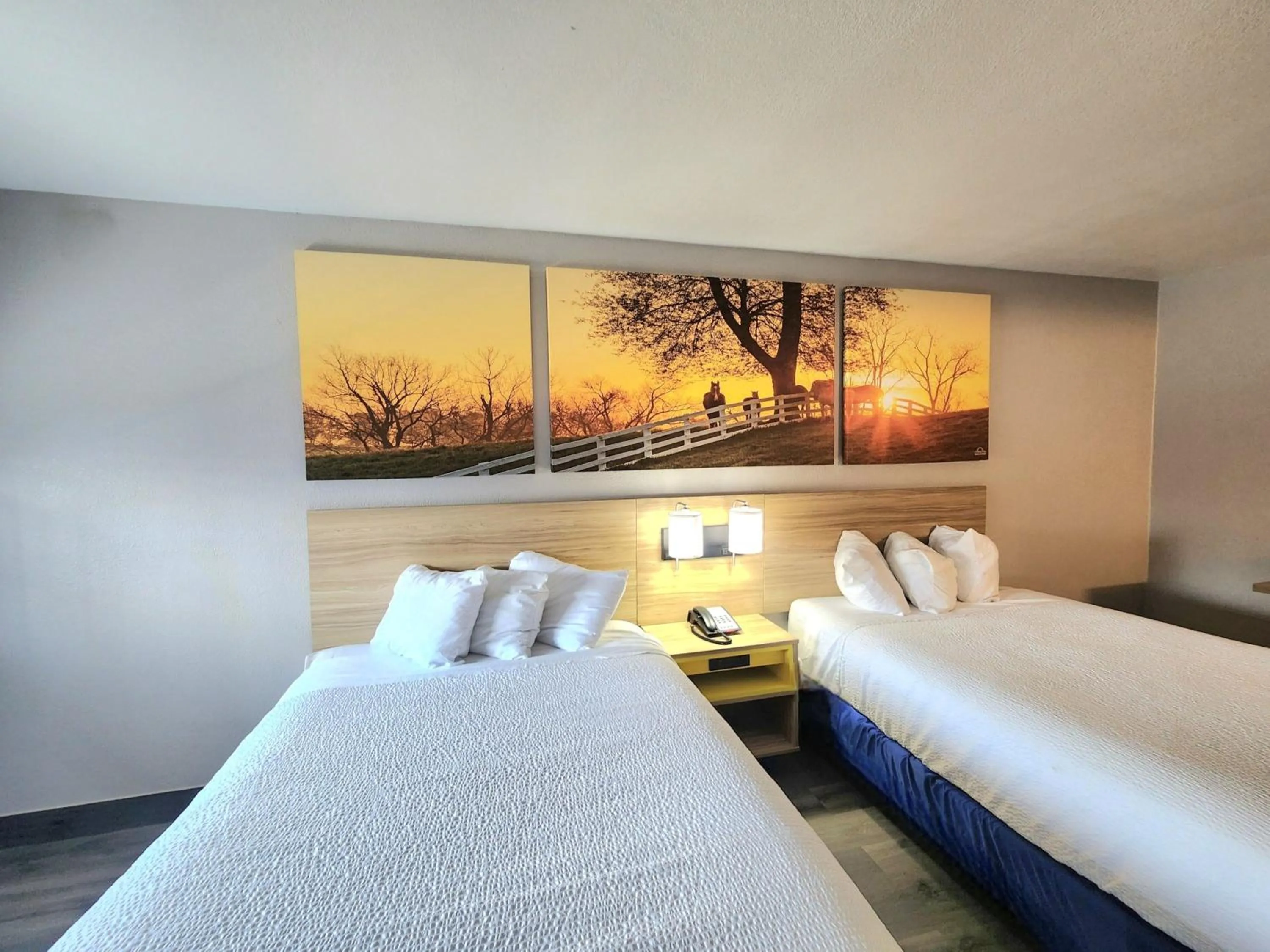 Bedroom, Bed in Days Inn by Wyndham Houston